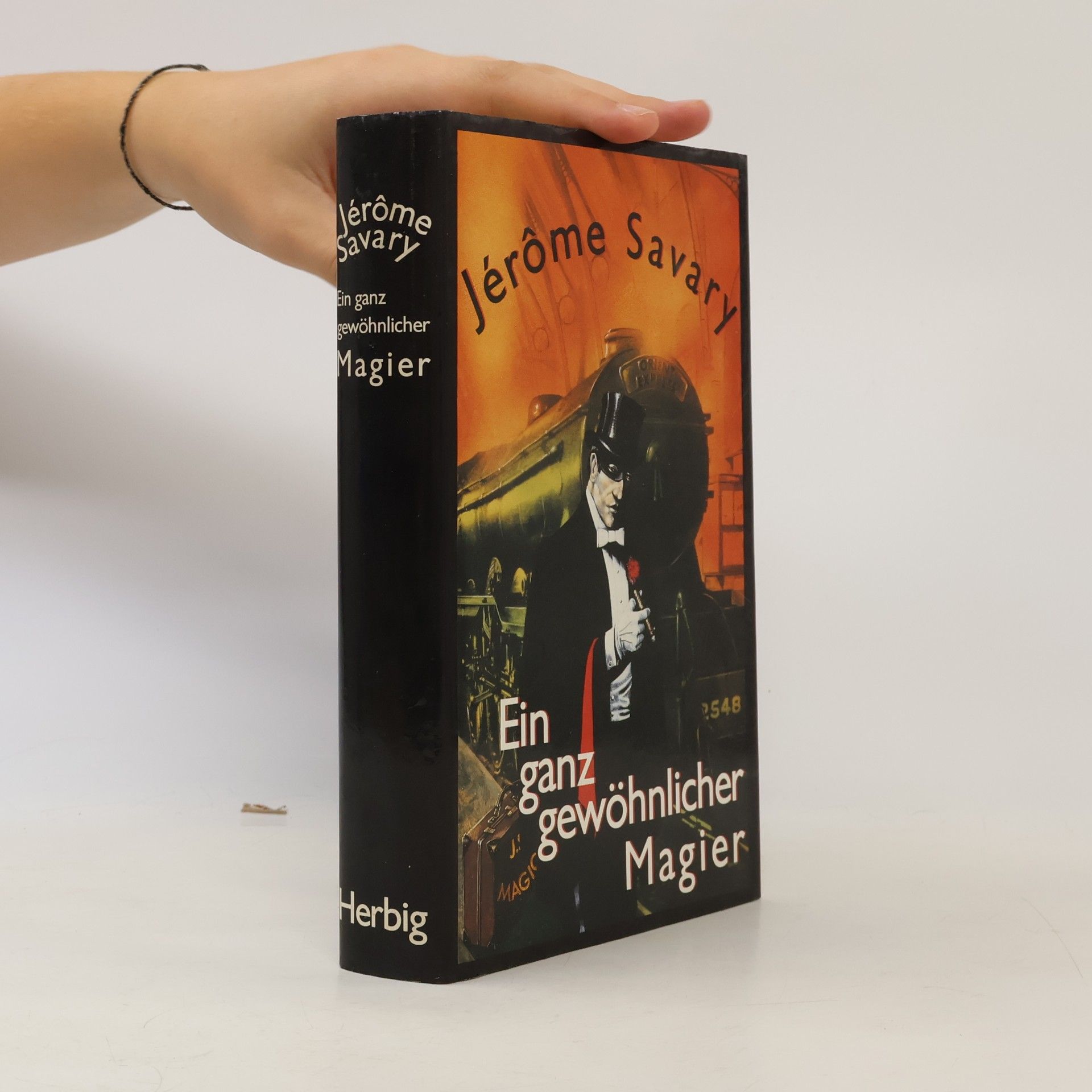 Ein ganz gewöhnlicher Magier