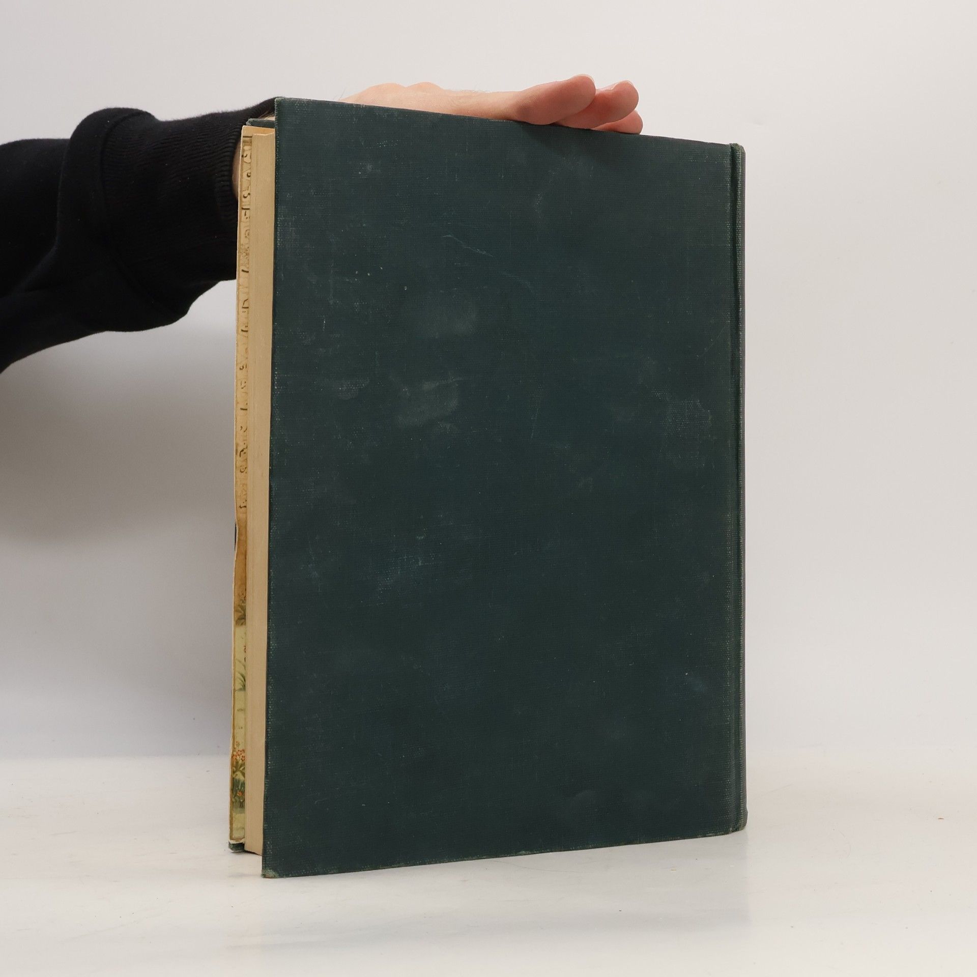 Jan Rypka Dějiny perské a tádžické literatury
