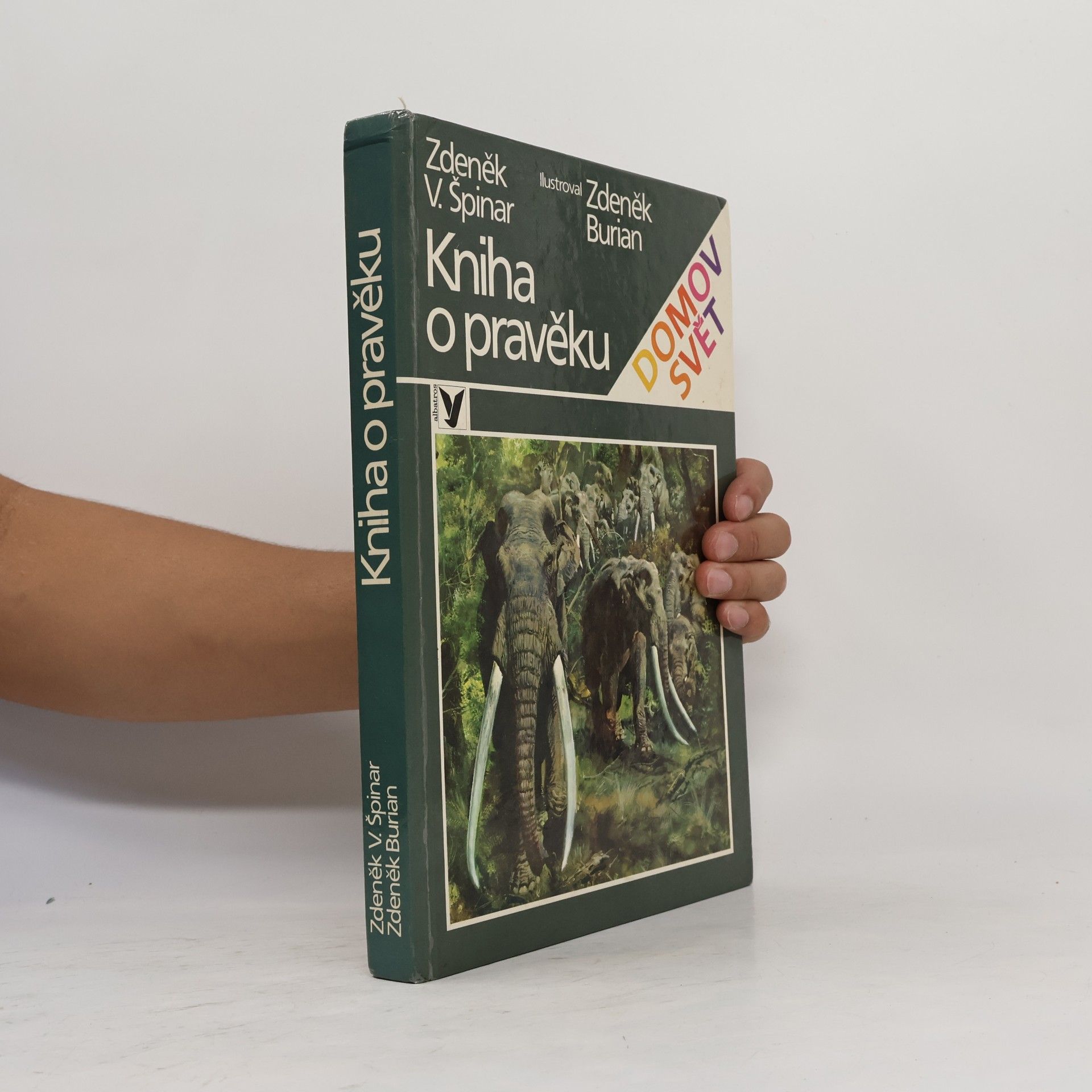 Kniha o pravěku