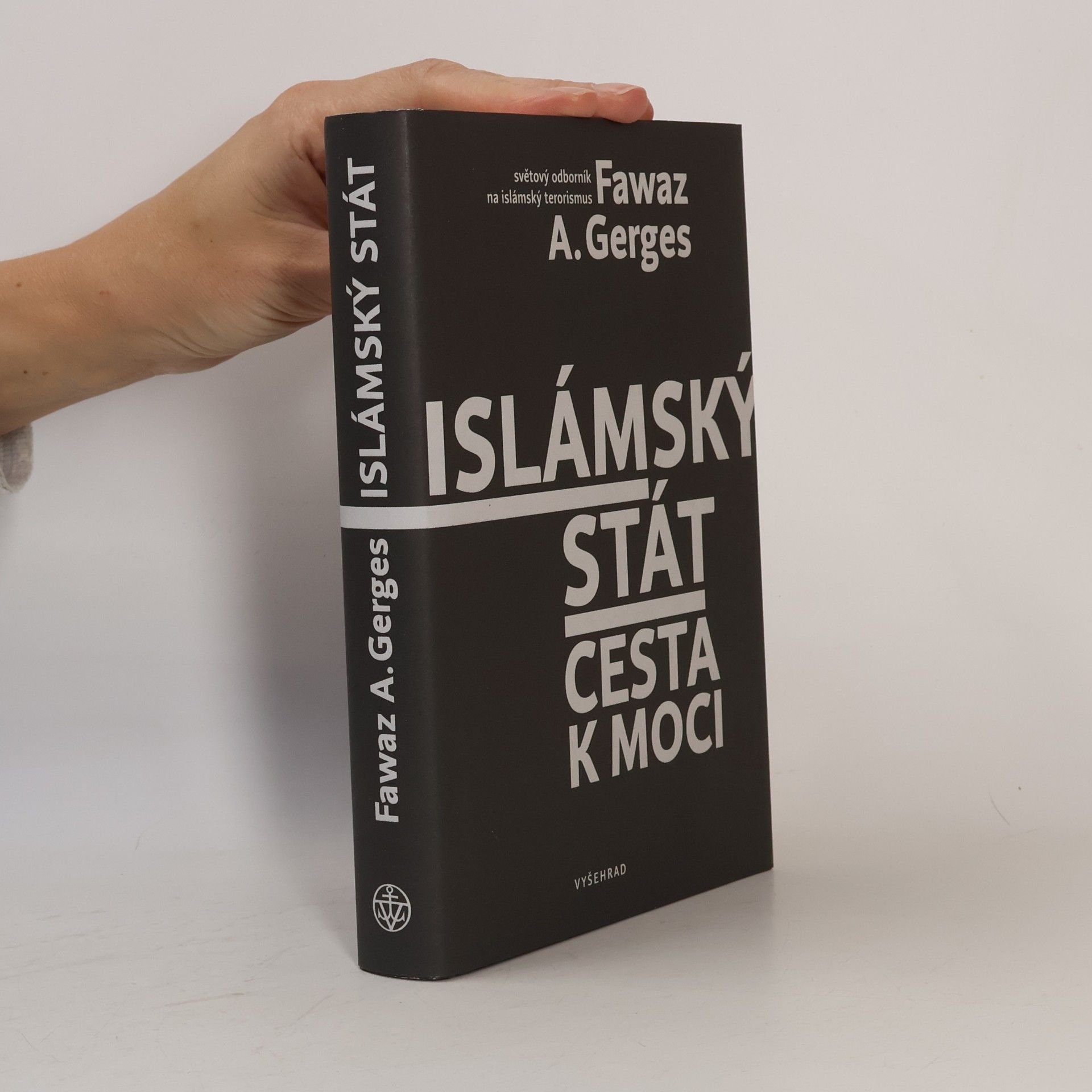 Fawaz A. Gerges Islámský stát : cesta k moci