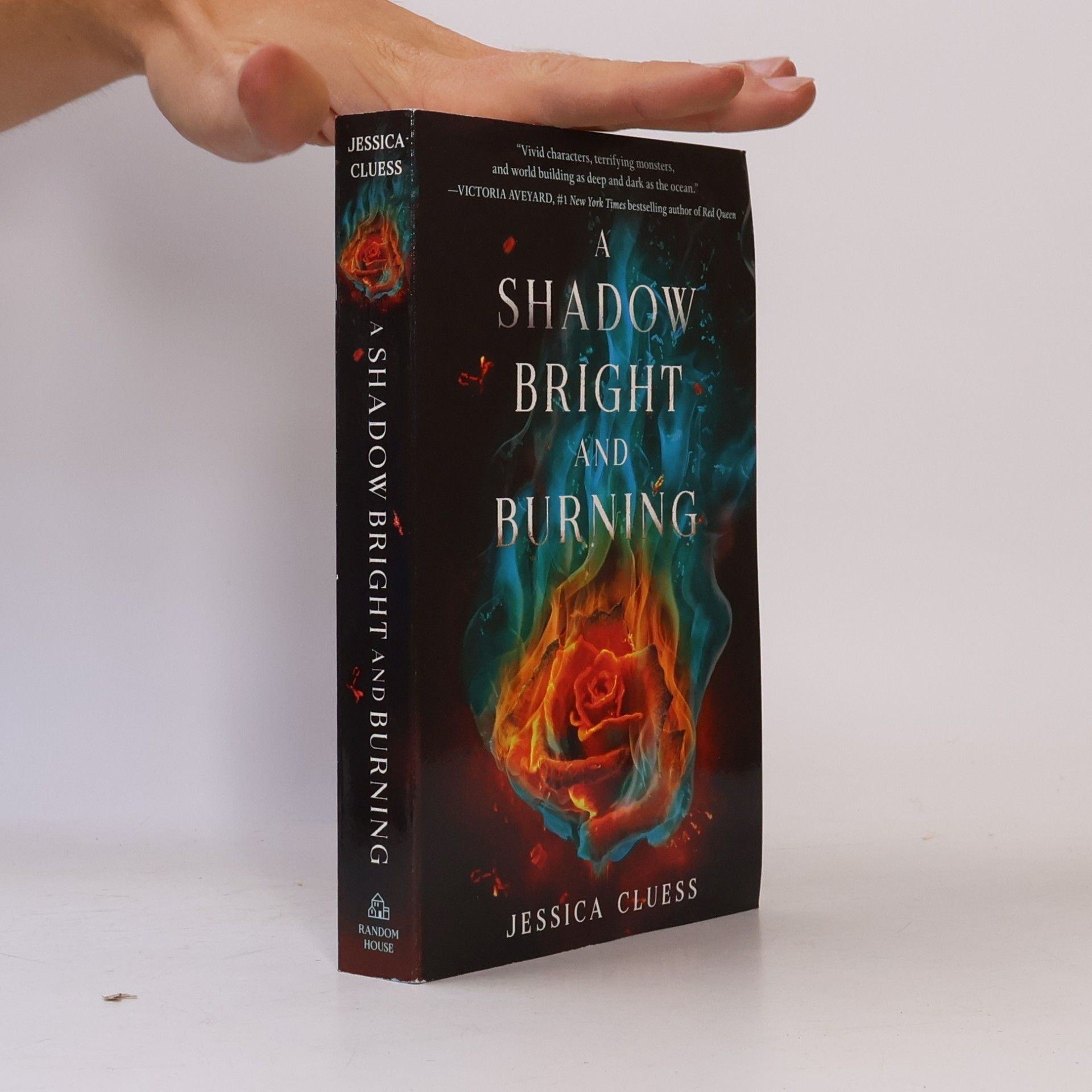 A Shadow Bright and Burning