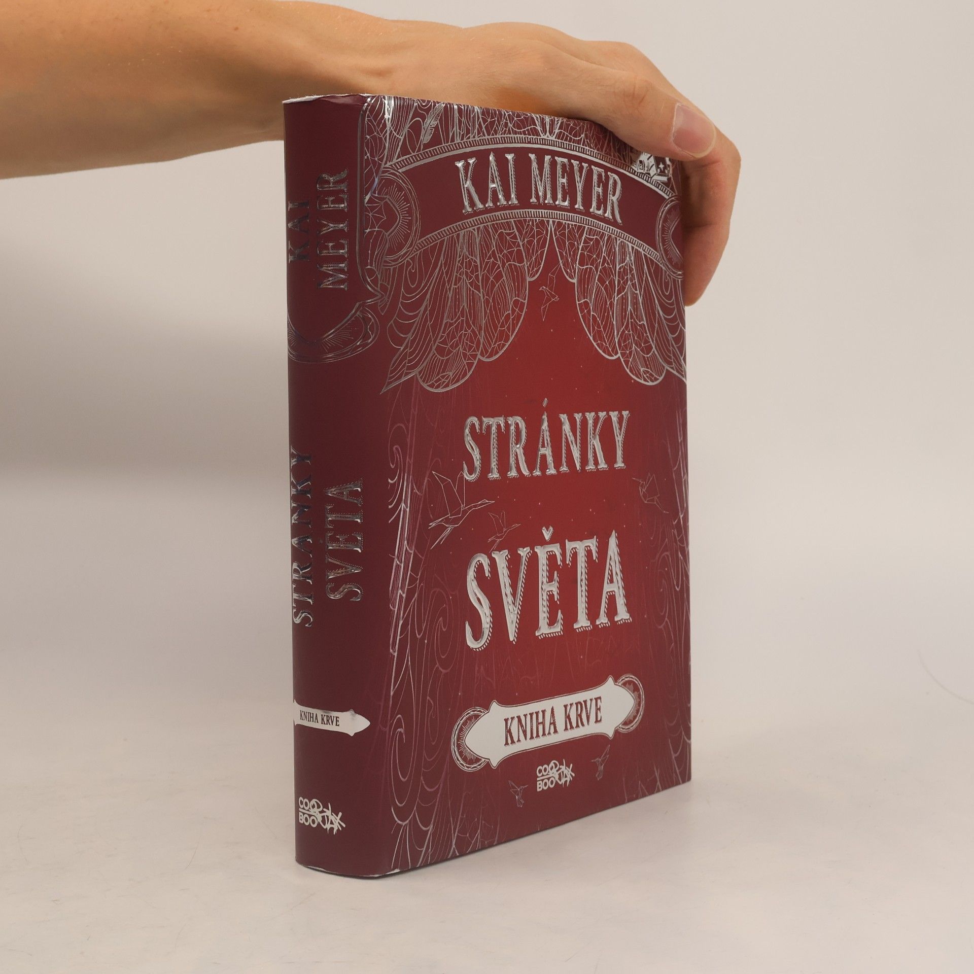 Kai Meyer Stránky světa: Kniha krve
