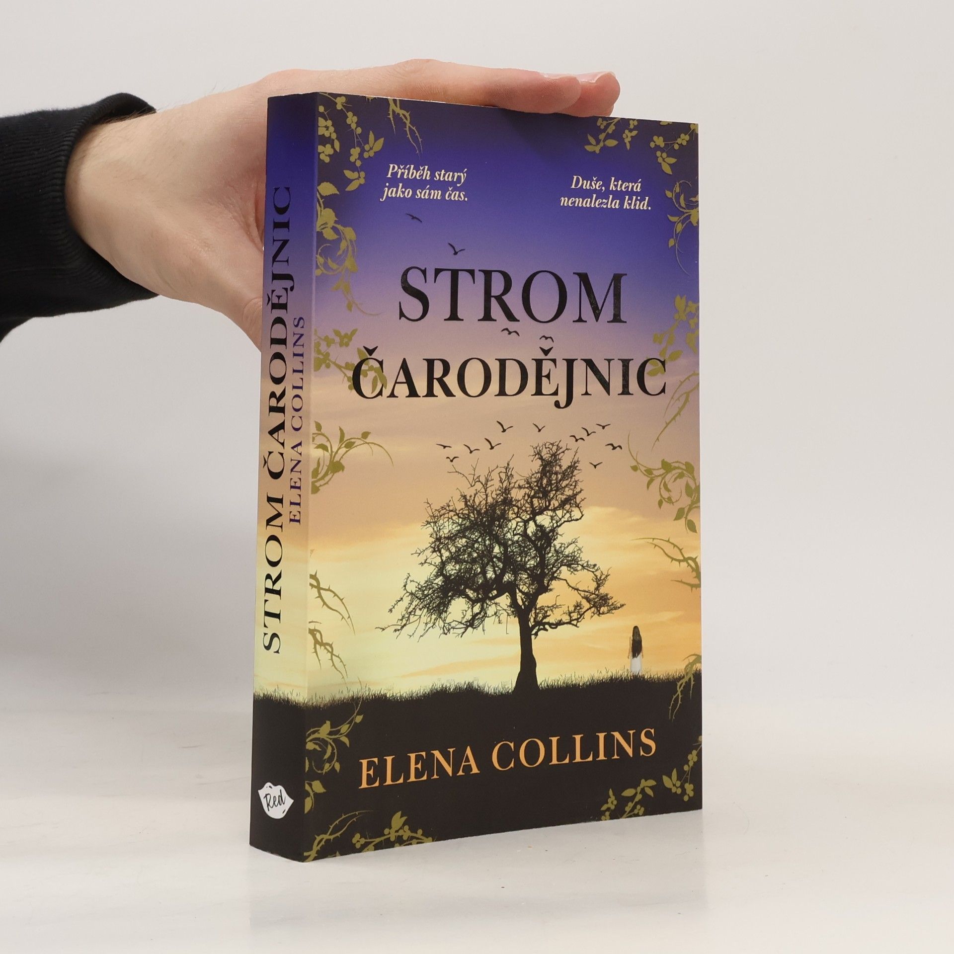 Strom čarodějnic