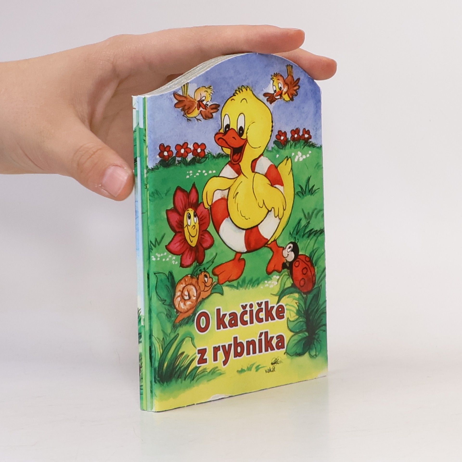 Zuzana Pospíšilová O kačičke z rybníka