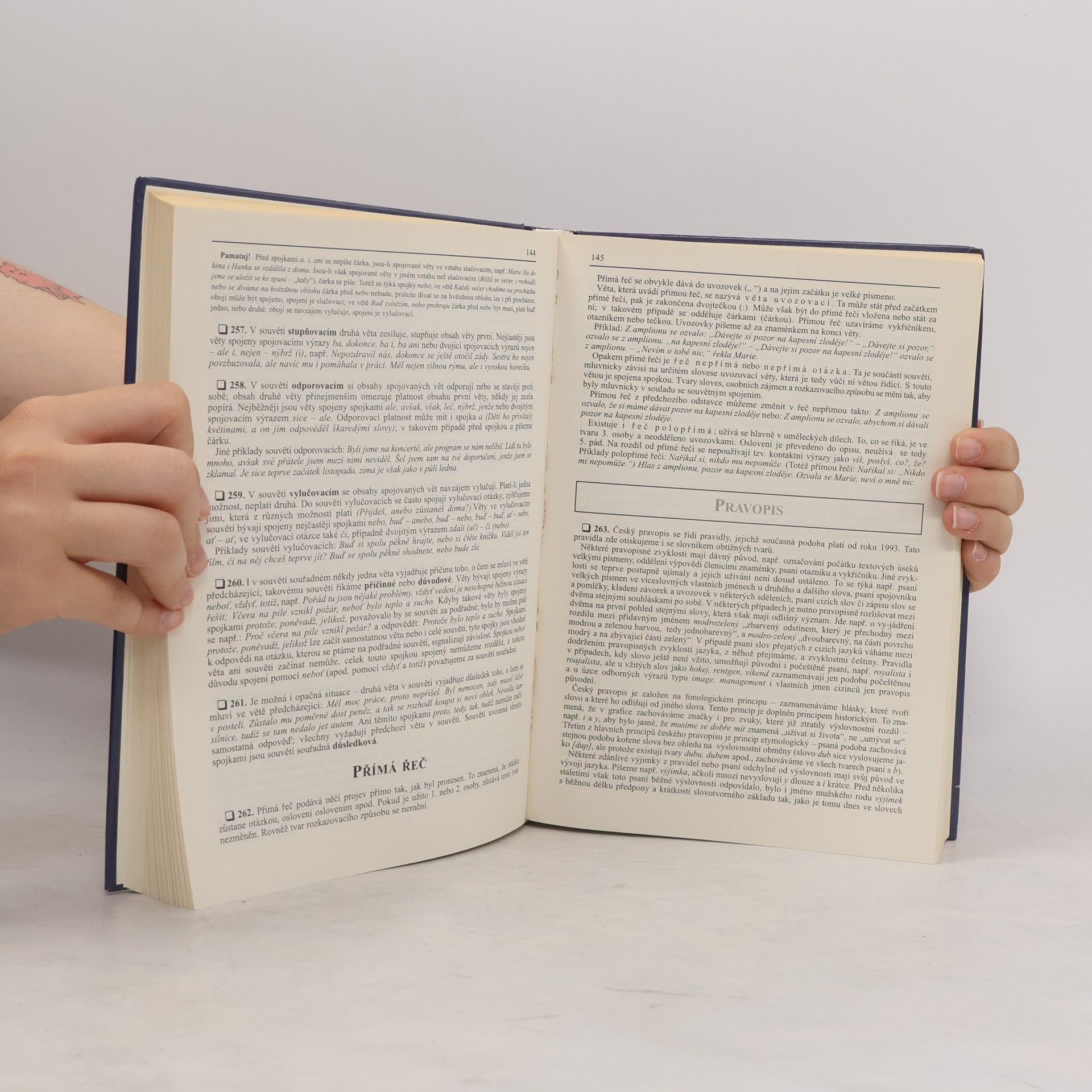 Autorenkollektiv Pravidla českého pravopisu s výkladem mluvnice