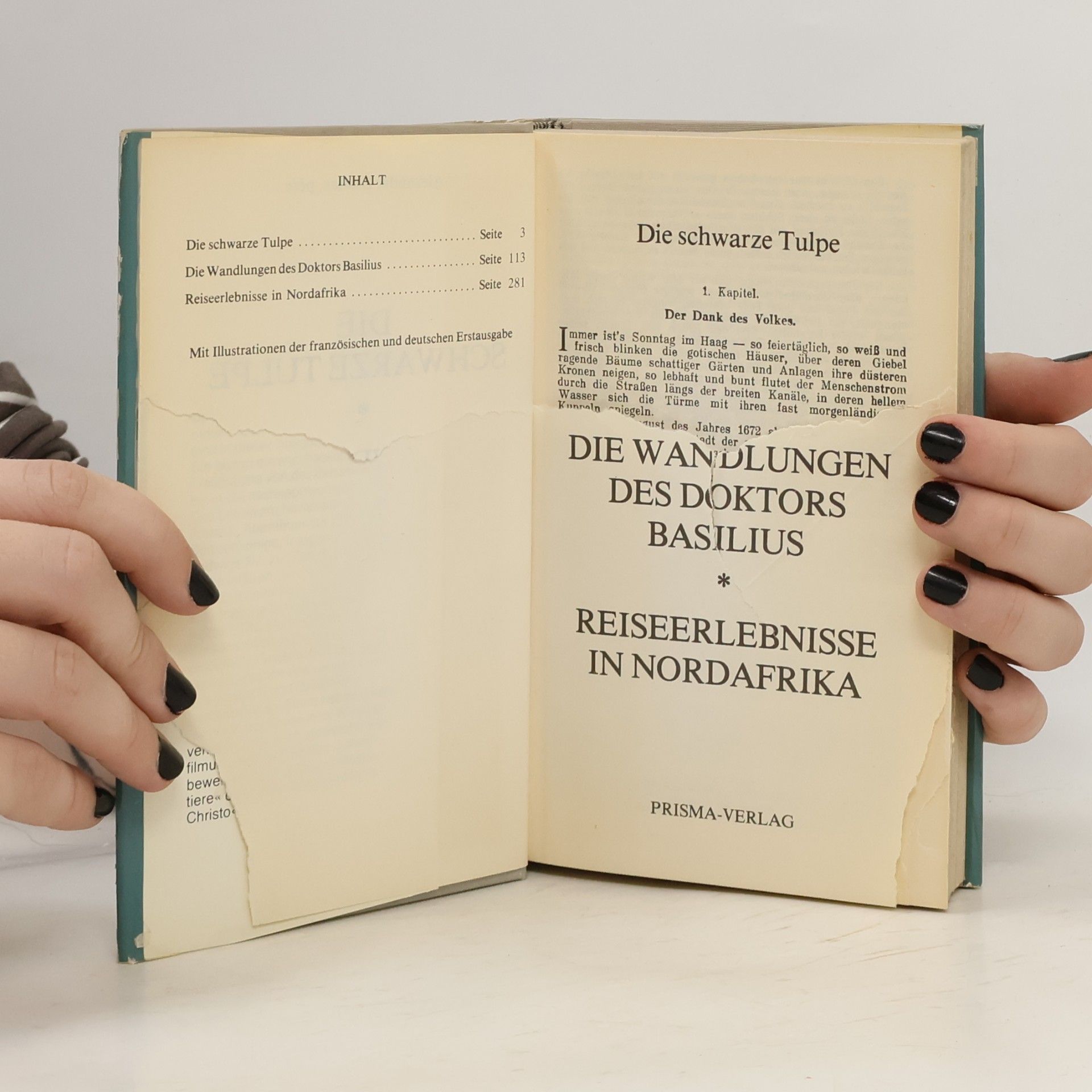 Alexandre Dumas der Ältere Die schwarze Tulpe; Doktor Basilius