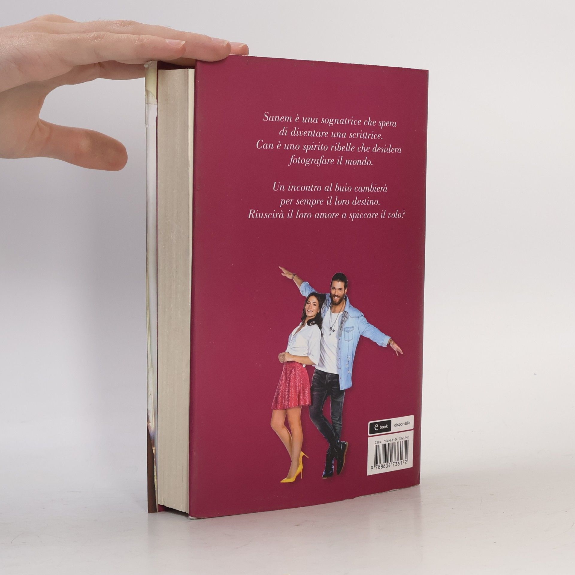 Le ali del sogno. Daydreamer (Novel)