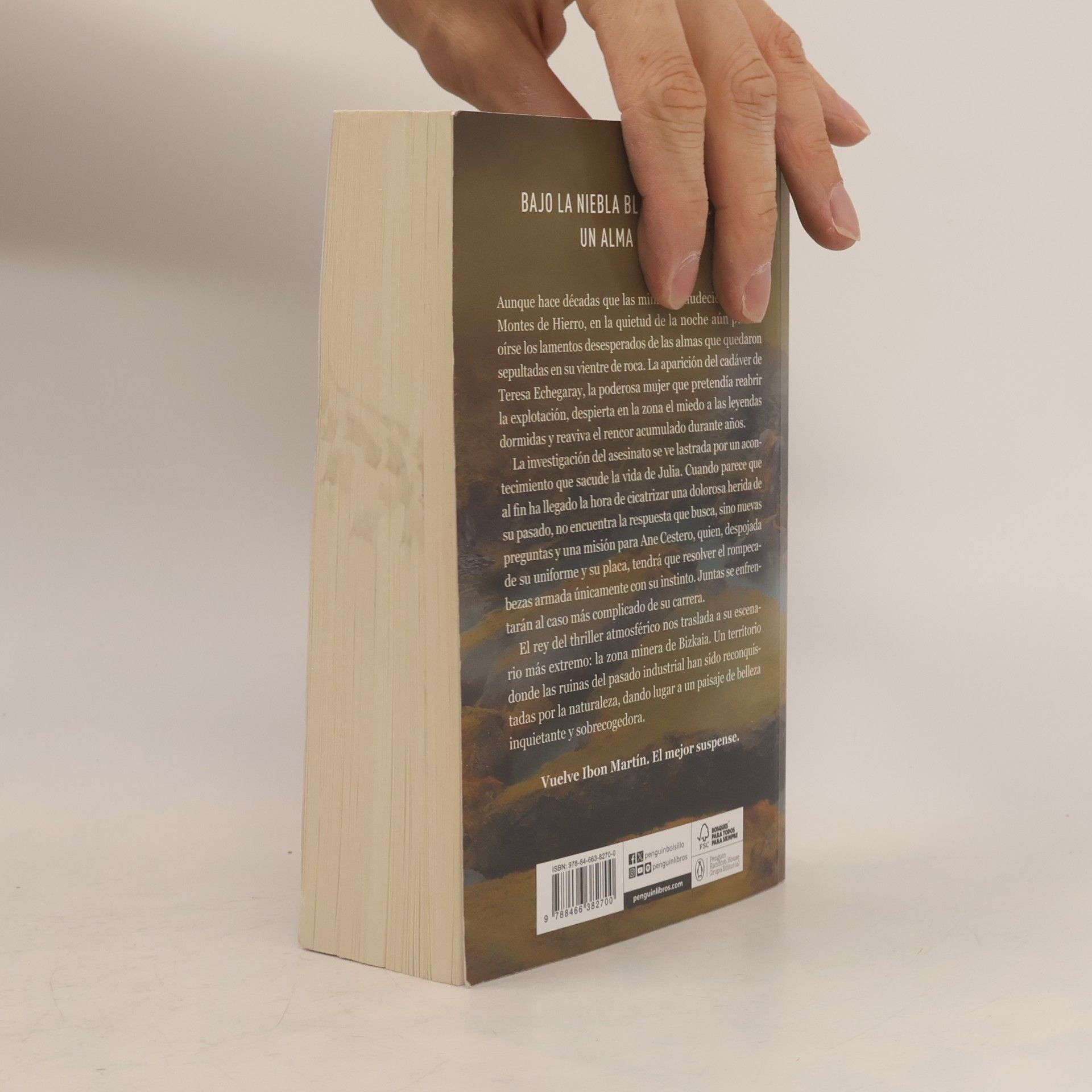 Ibon Martin Best Seller | Ficción - 4: Alma negra