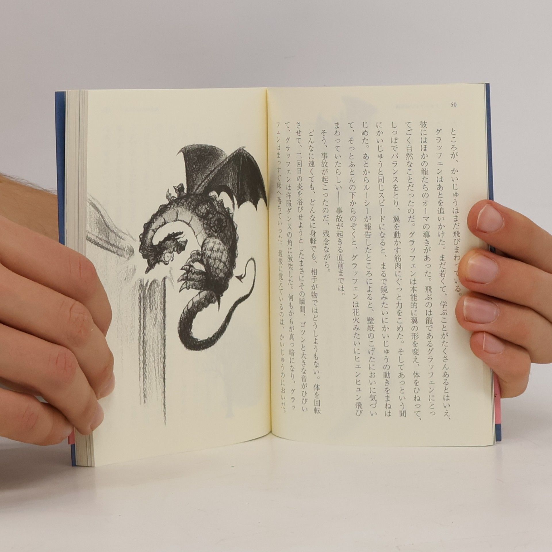 Chris d'Lacey 龍のすむ家: 小さな竜たちの大冒険