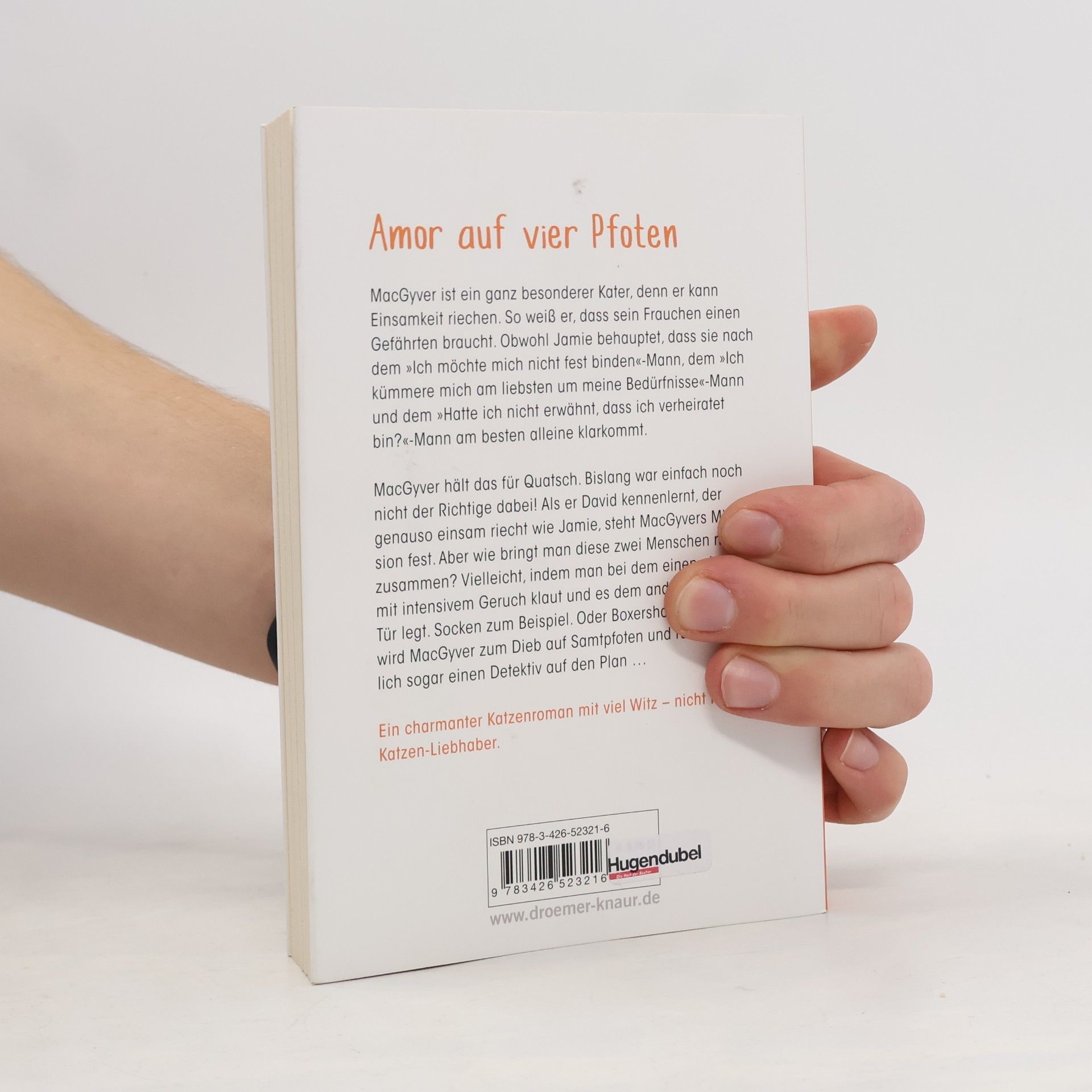 Melinda Metz Eine Samtpfote zum Verlieben