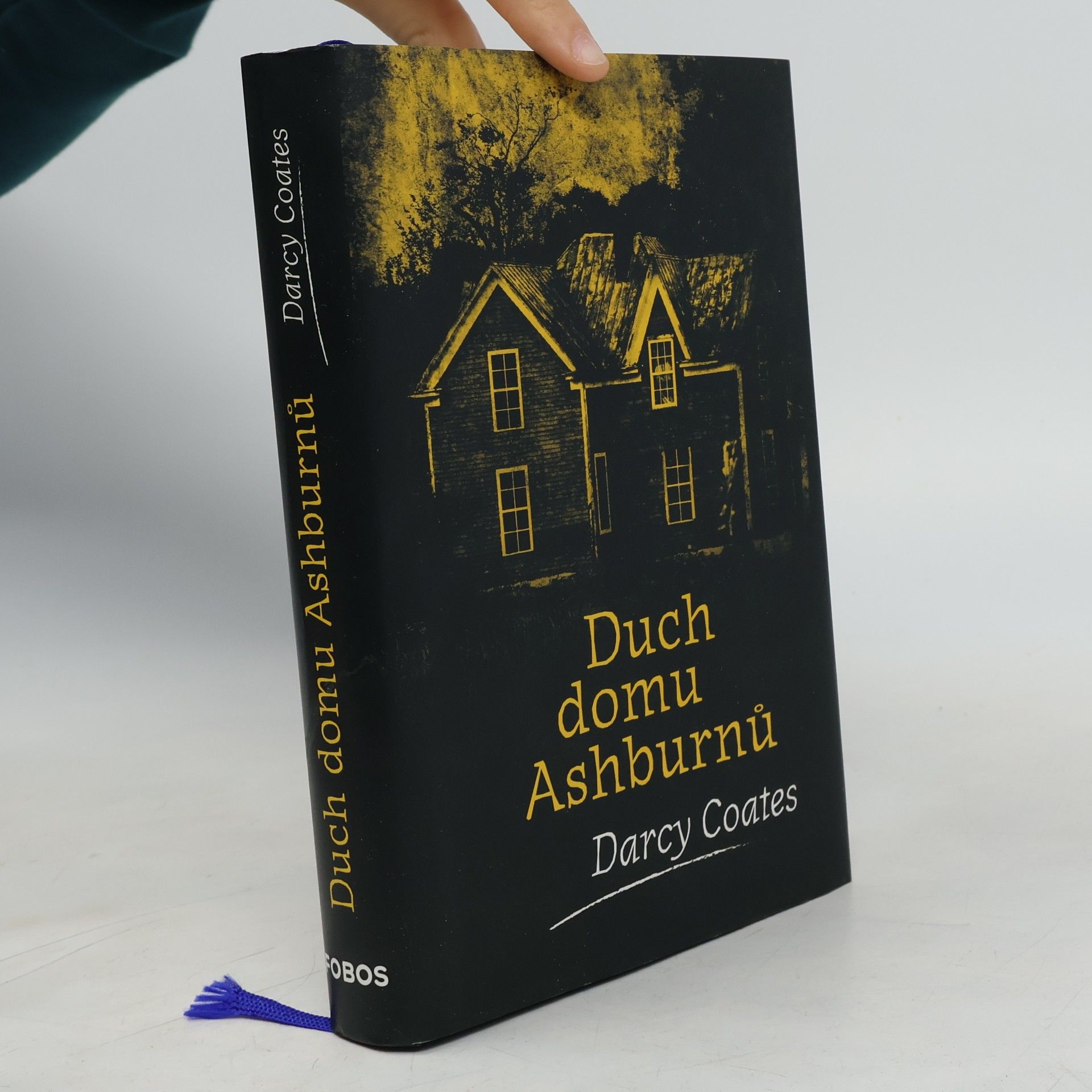 Darcy Coates Duch domu Ashburnů