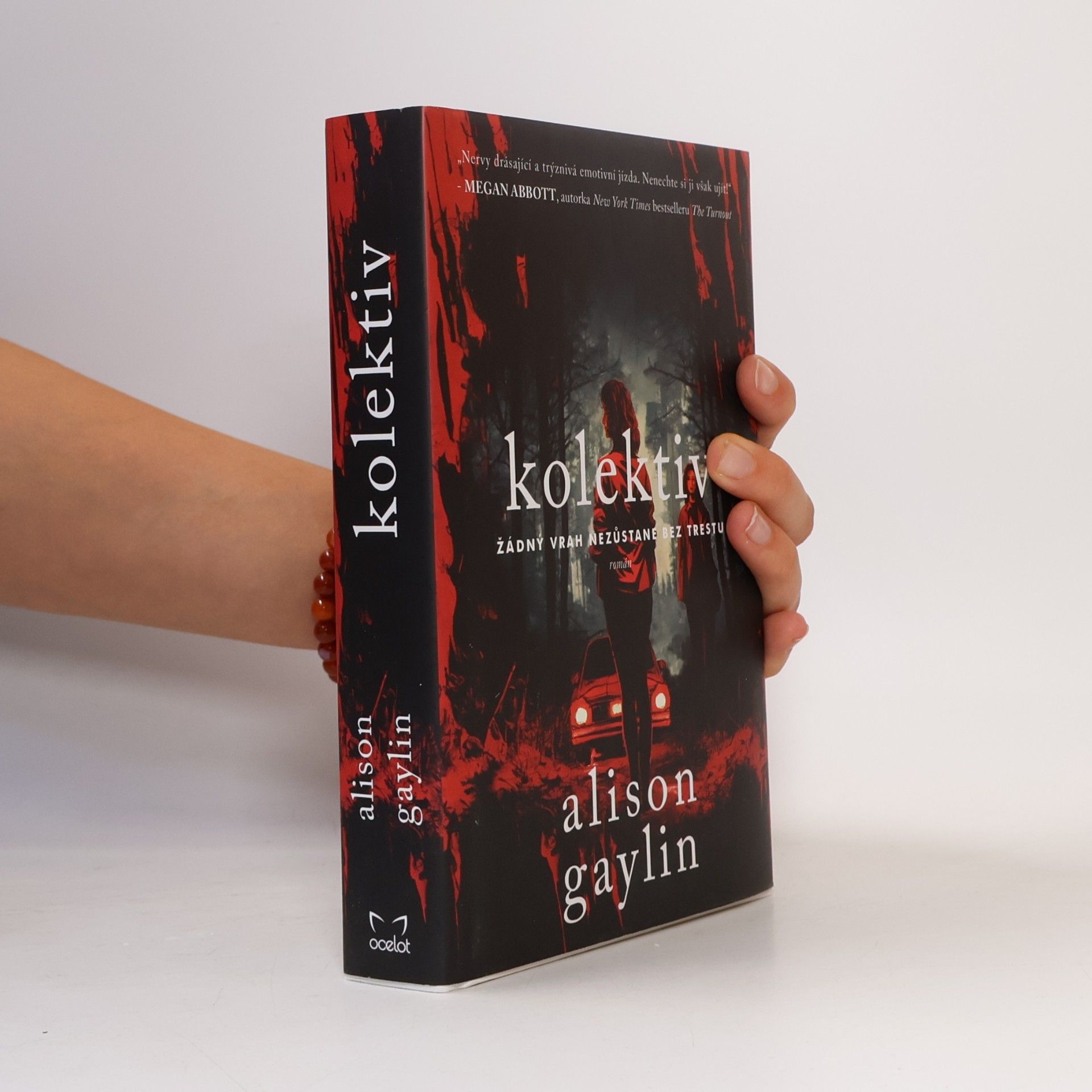 Alison Gaylin Kolektiv