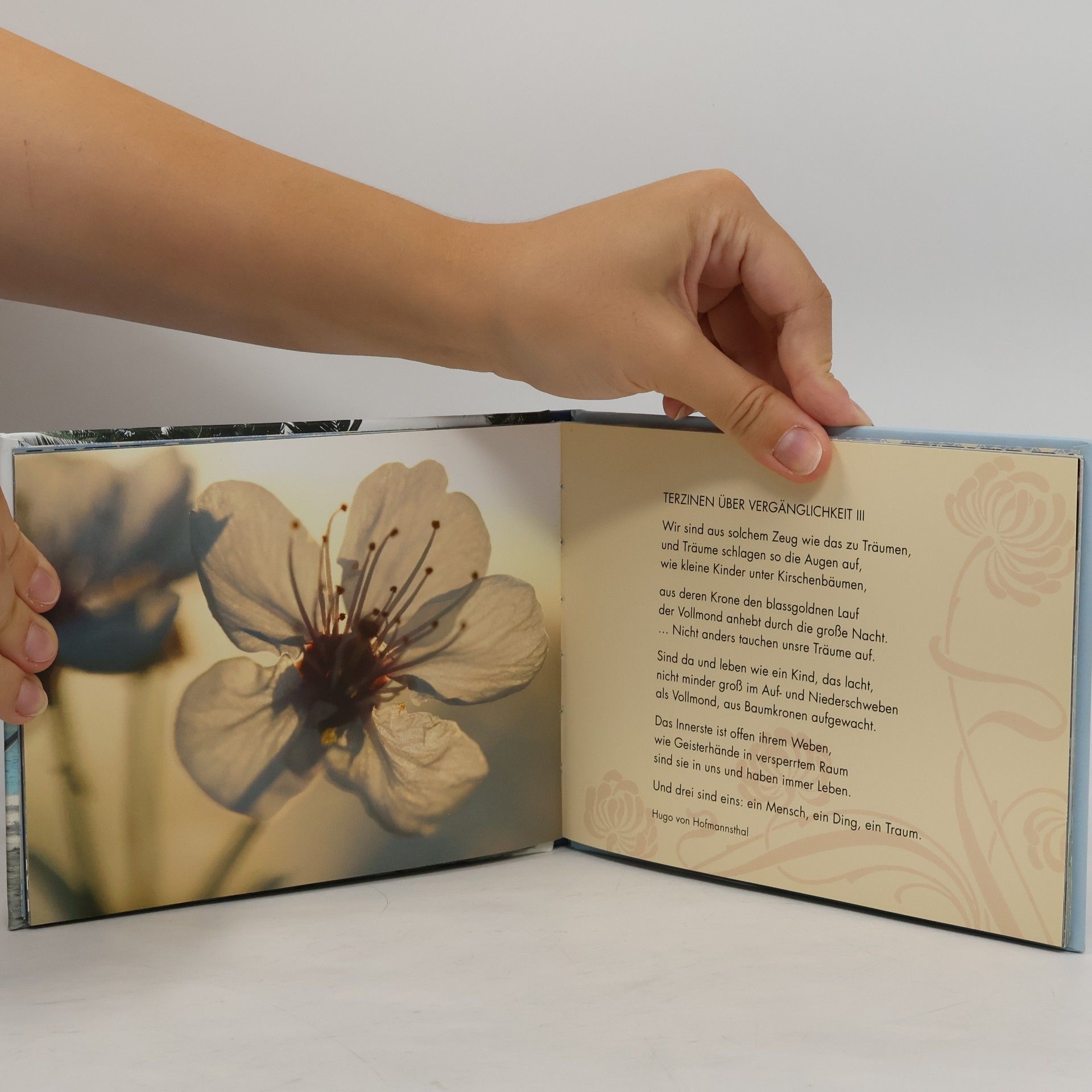 Lebe deine Träume! (Zum Ruhestand)