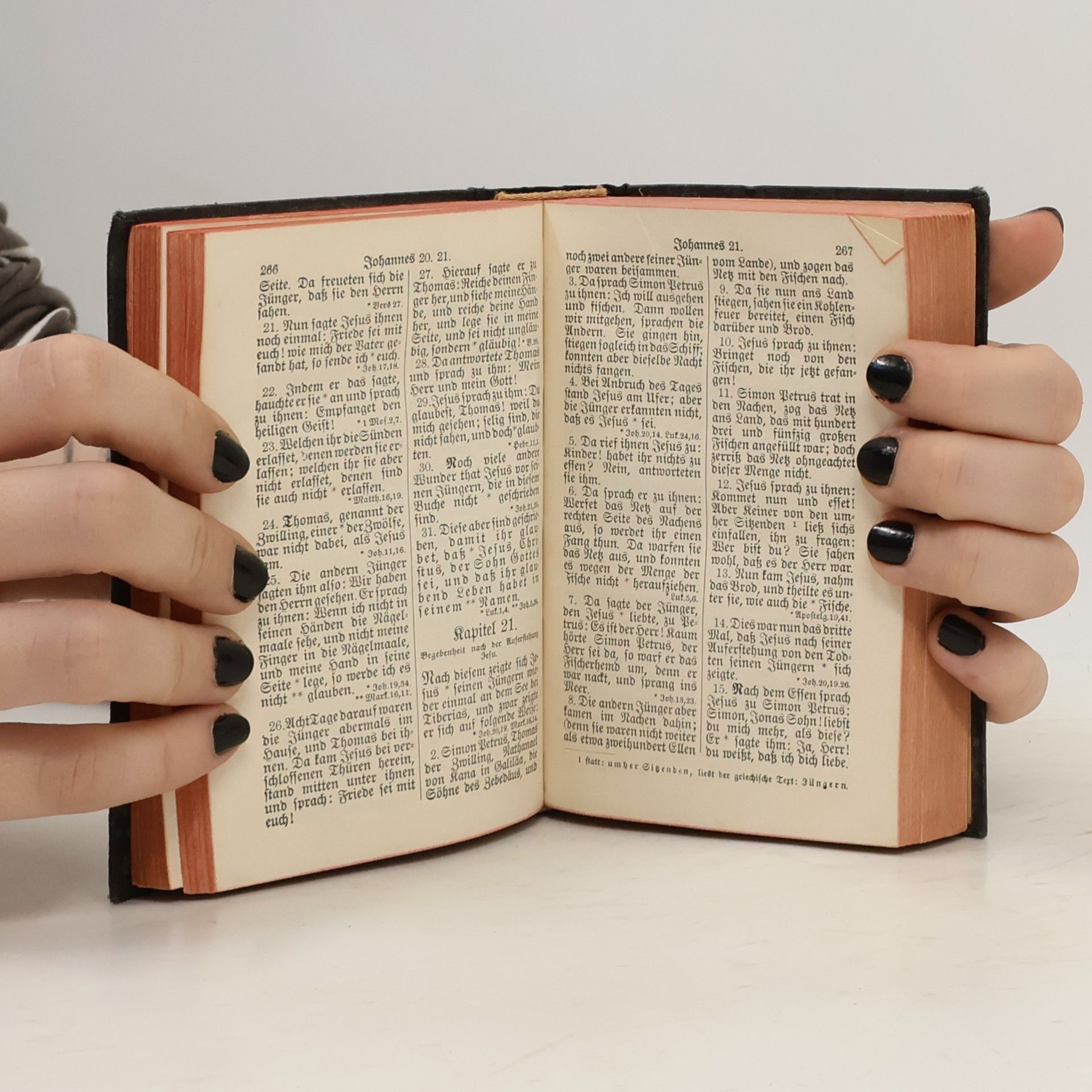 Dr. Leander Van Eß Neues Testament und Psalmen