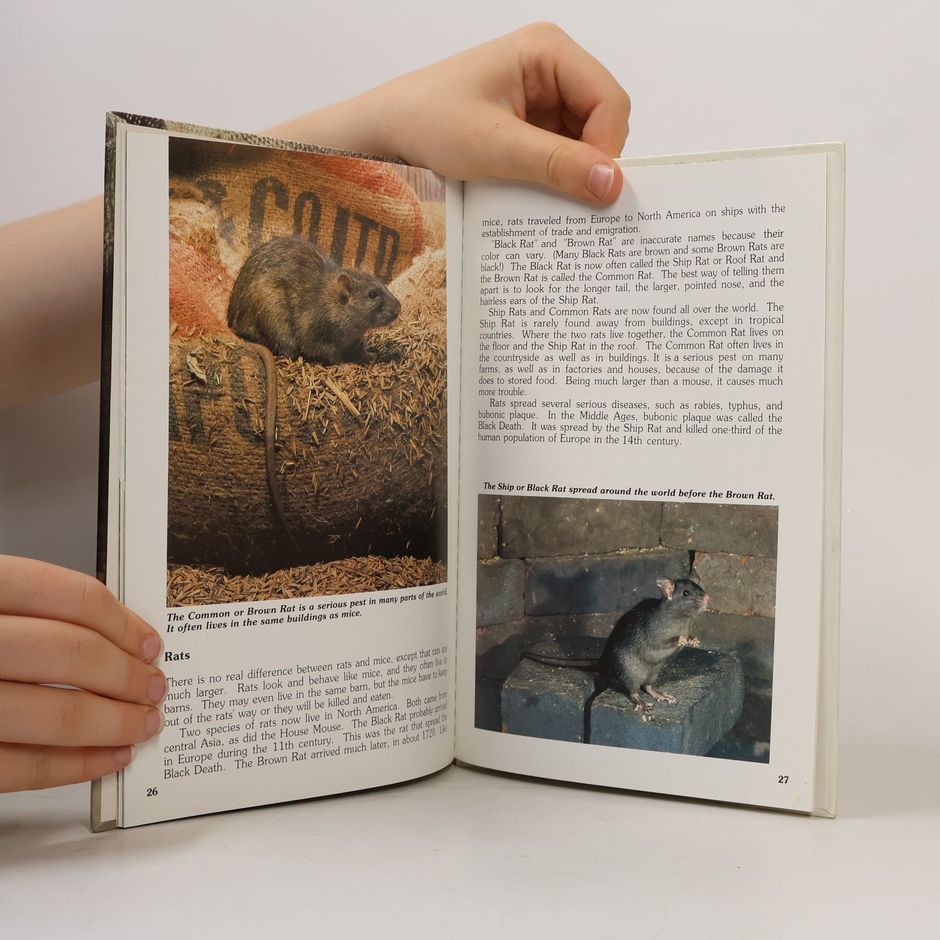 Robert A. Burton The Mouse in the Barn : Animal Habitats