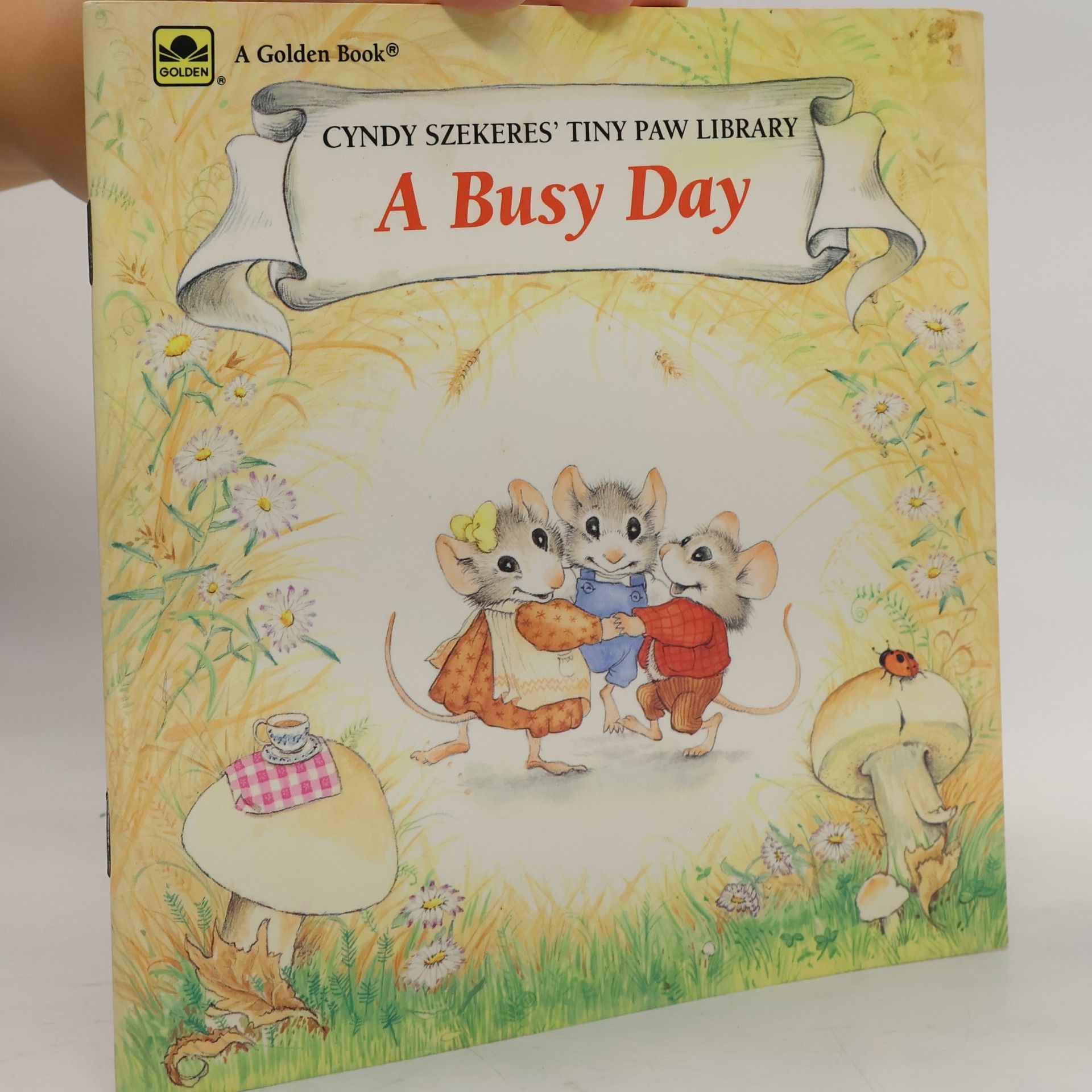 Collectif d'auteurs A Busy Day