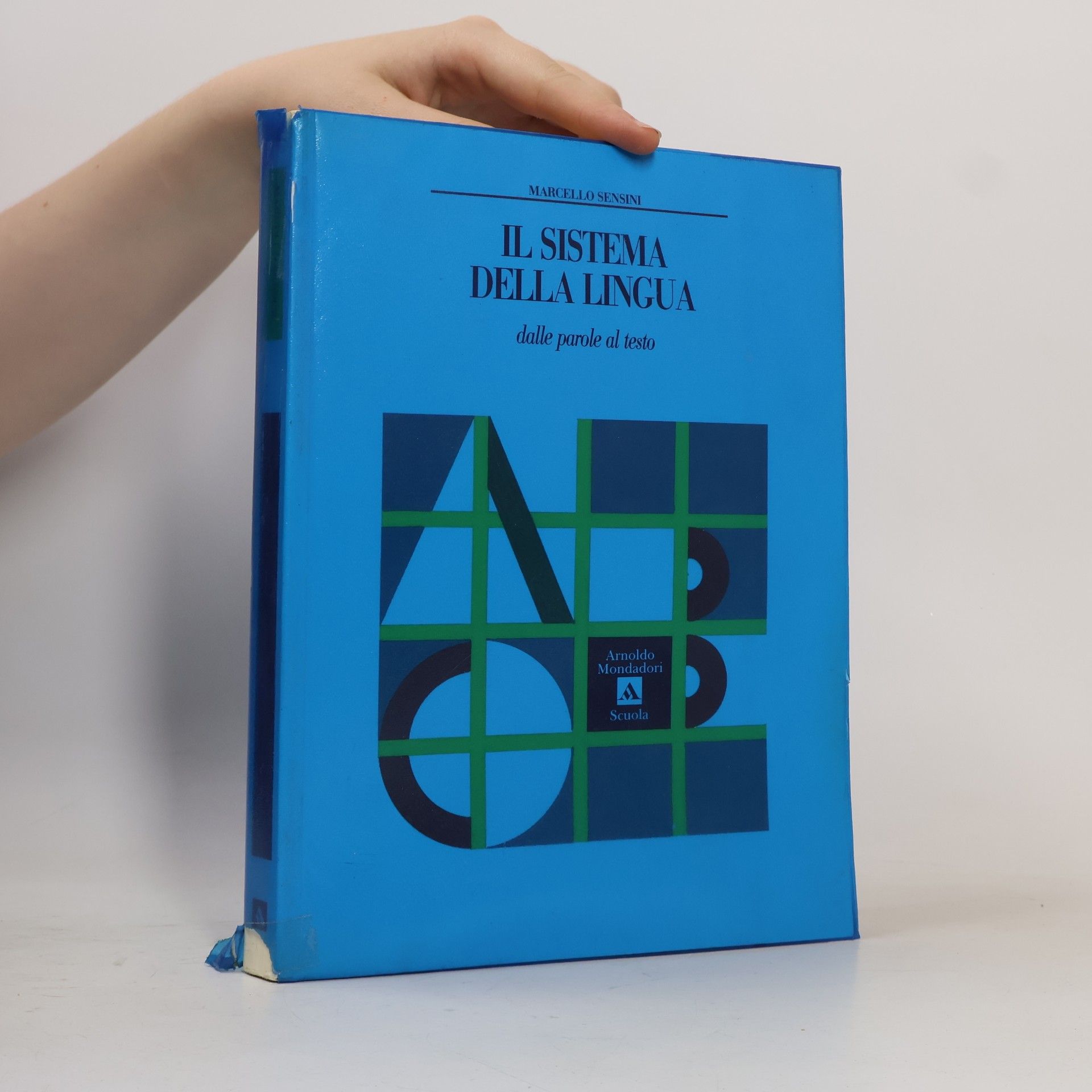 Il sistema della lingua