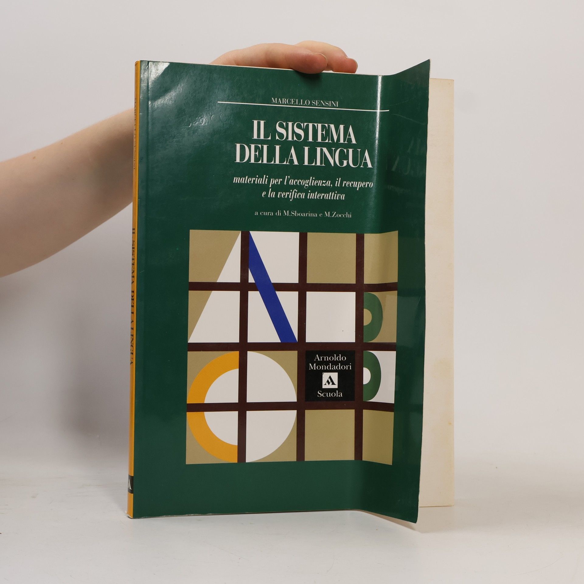 Marcello Sensini Il sistema della lingua