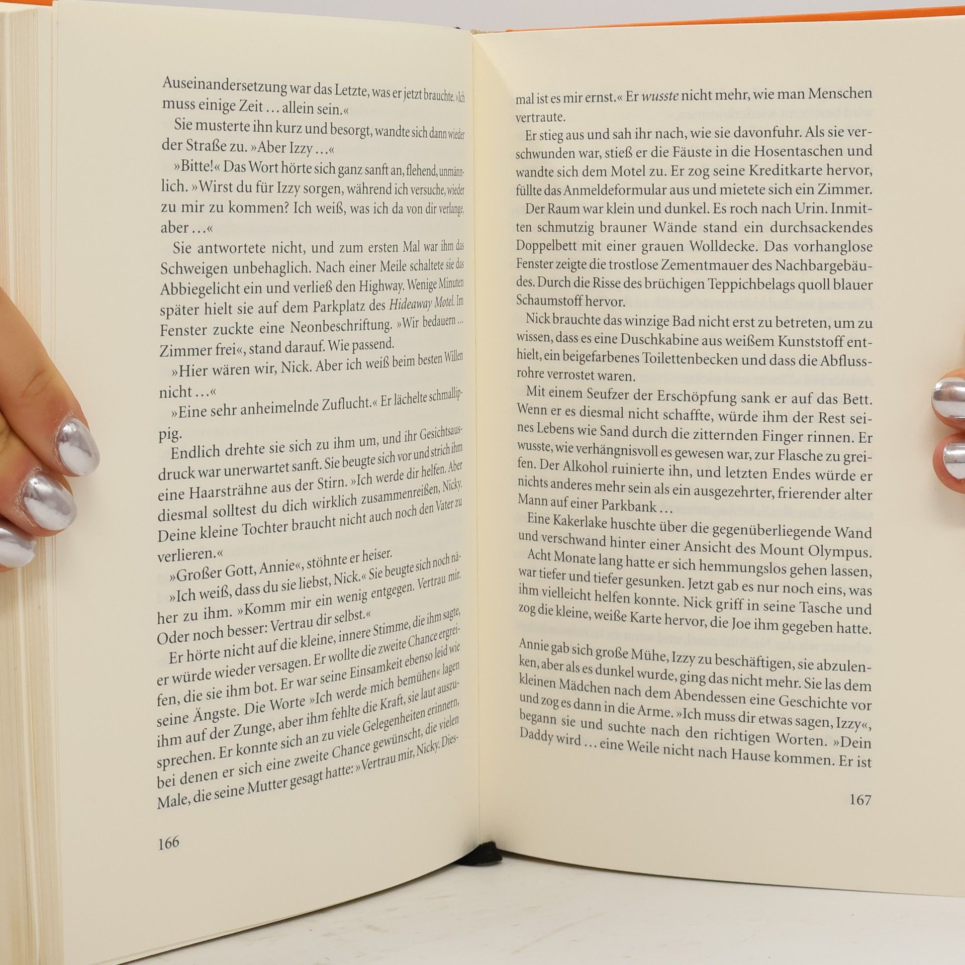 Kristin Hannah Der See der Träume