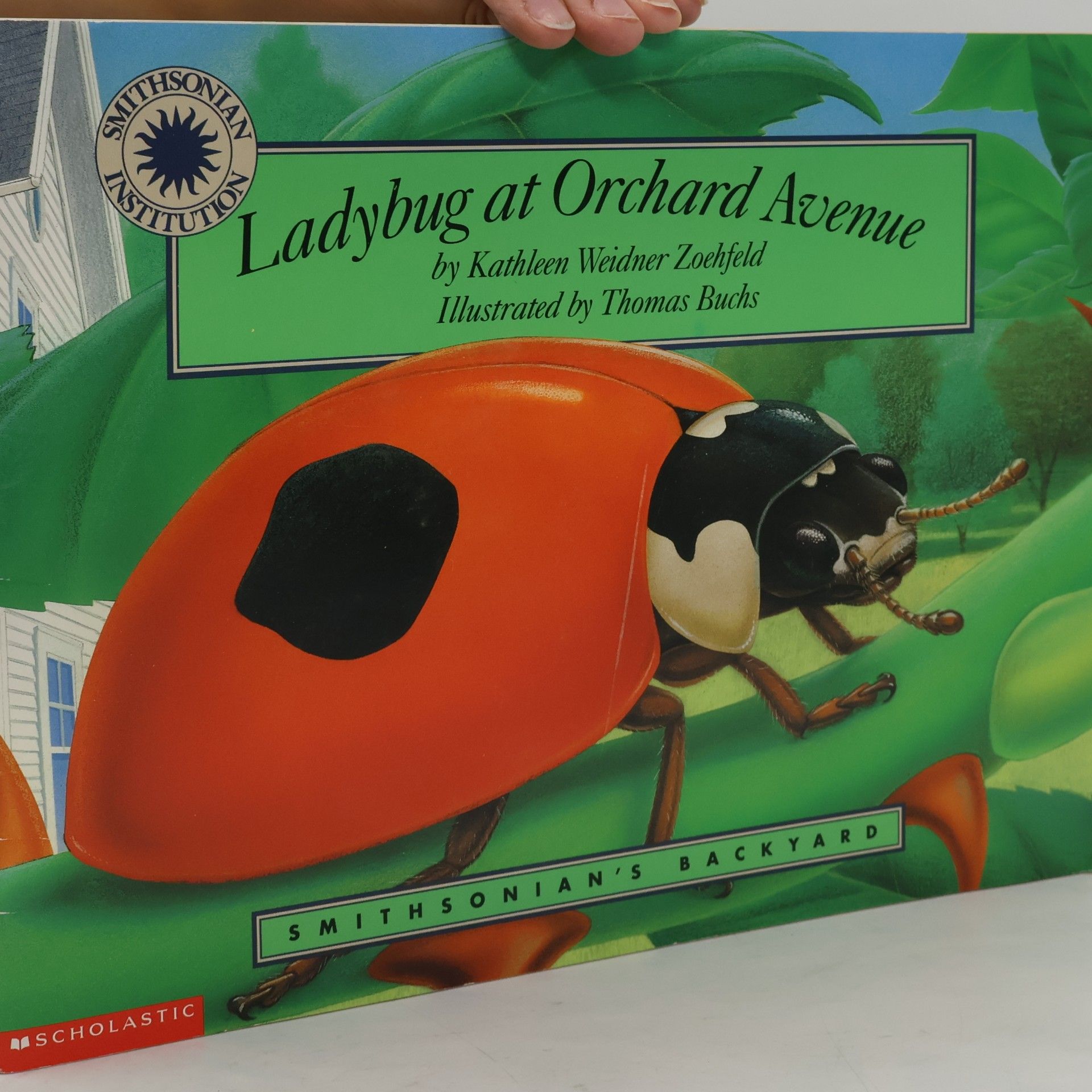 Smithsonian's Backyard: Ladybug at Orchard Avenue
