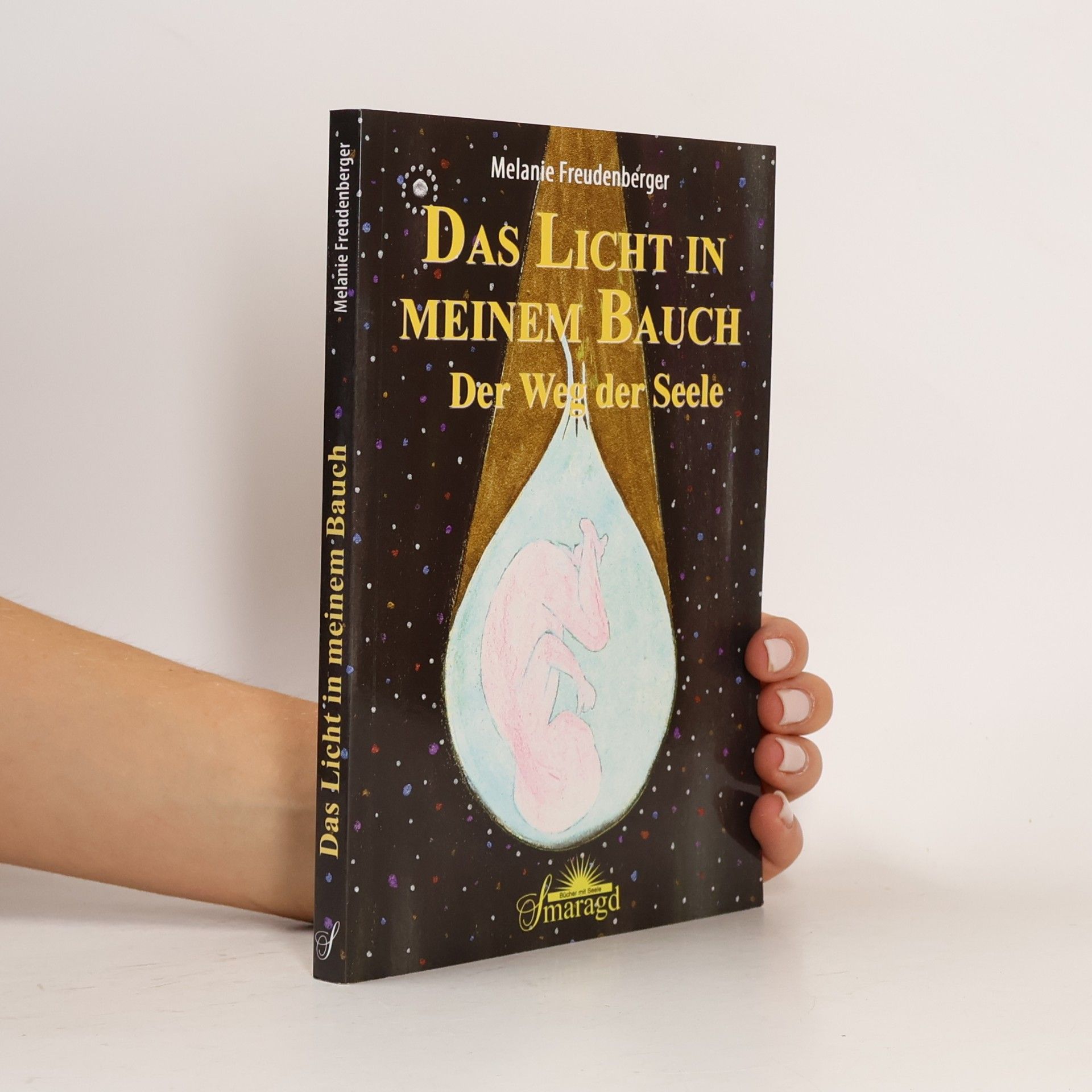 Melanie Freudenberger Das Licht in meinem Bauch