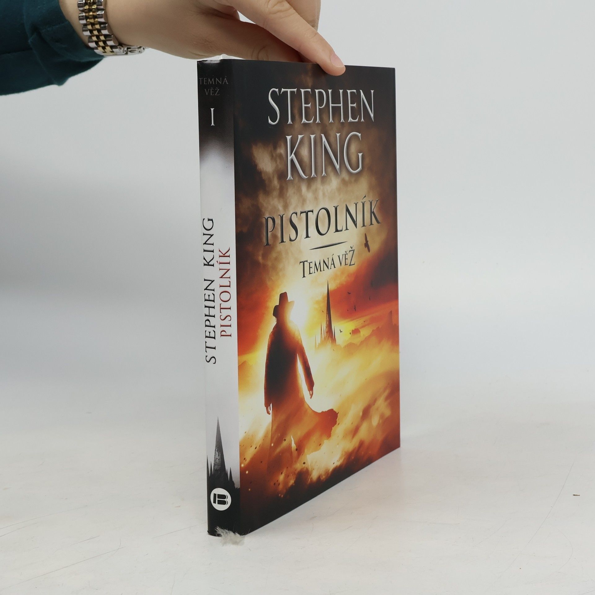 Stephen King Temná věž. Pistolník