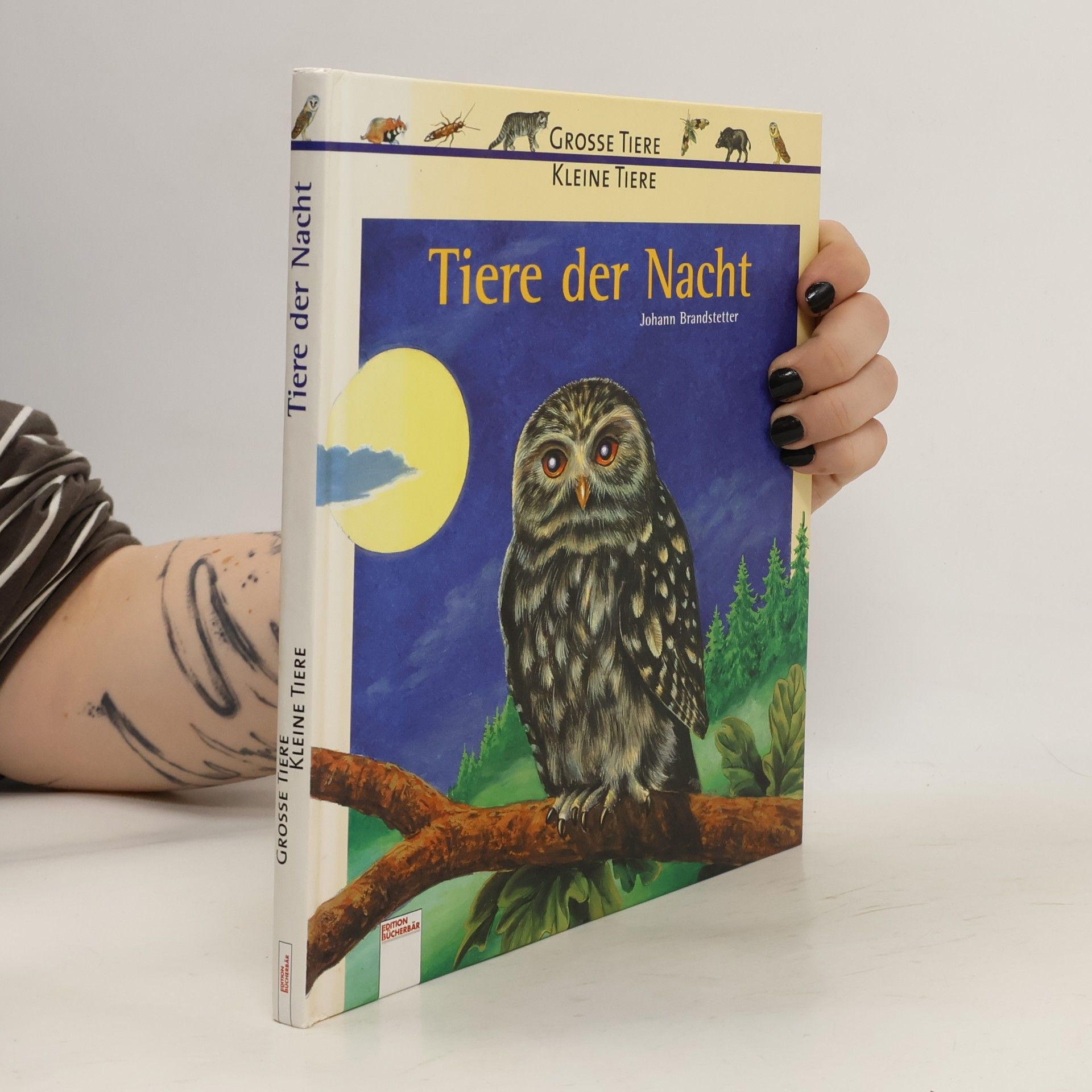 Ilka Sokolowski Tiere der Nacht