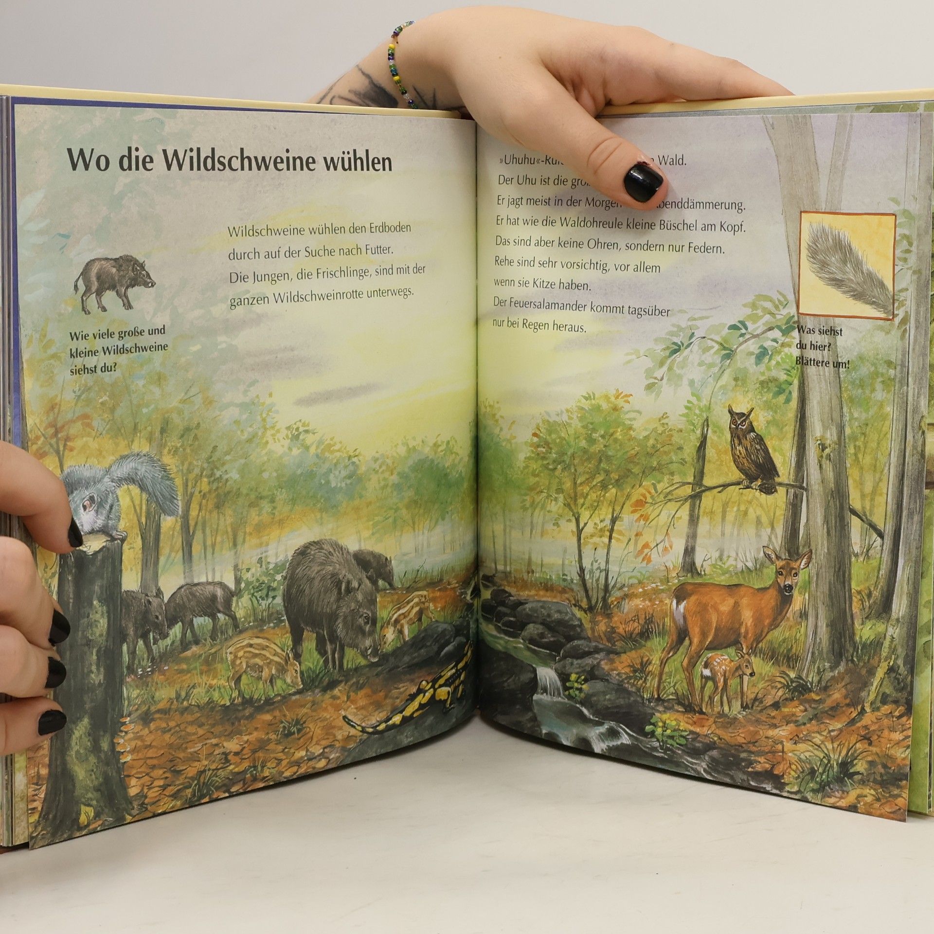 Ilka Sokolowski Tiere der Nacht