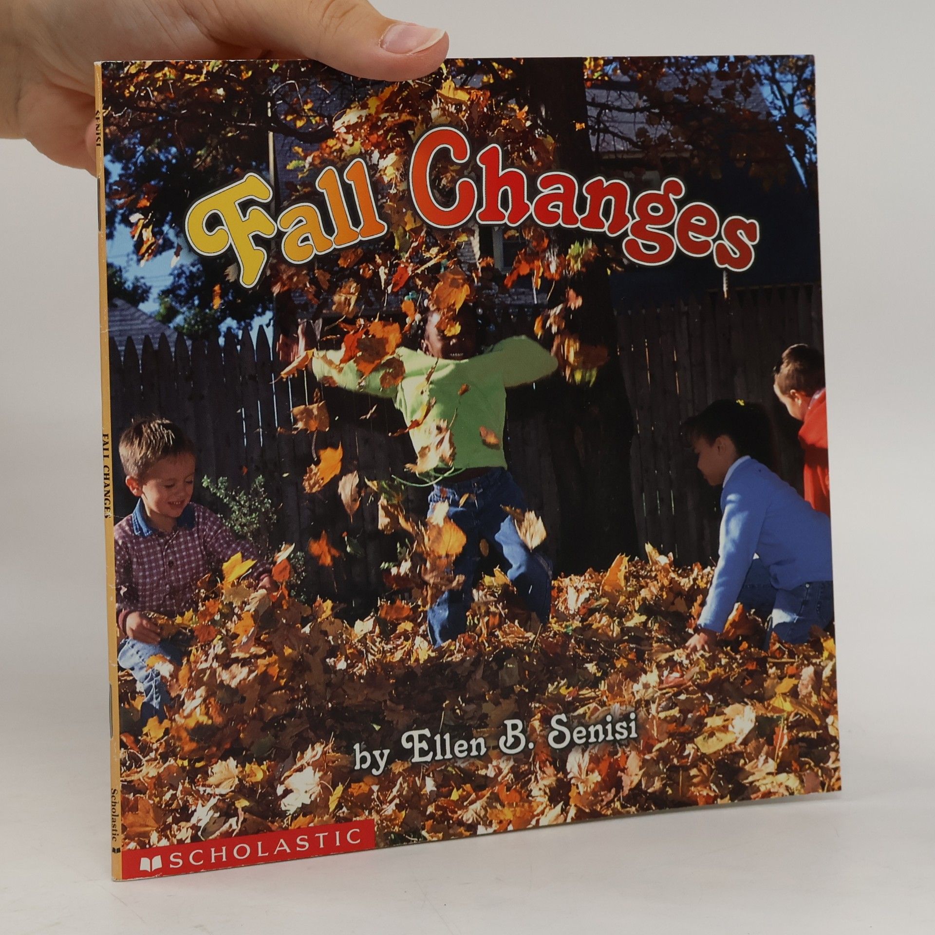 Ellen B. Senisi Fall Changes