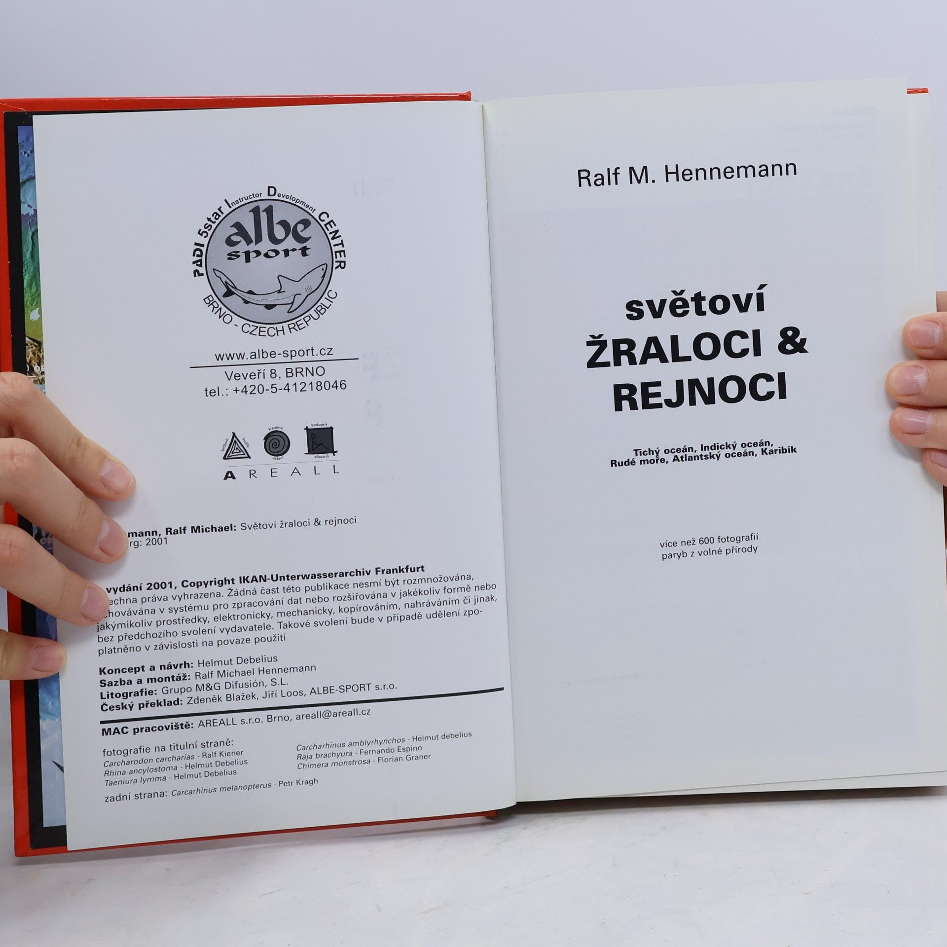Ralf M. Hennemann Světoví žraloci & rejnoci : Tichý oceán, Indický oceán, Rudé moře, Atlantský oceán, Karibik