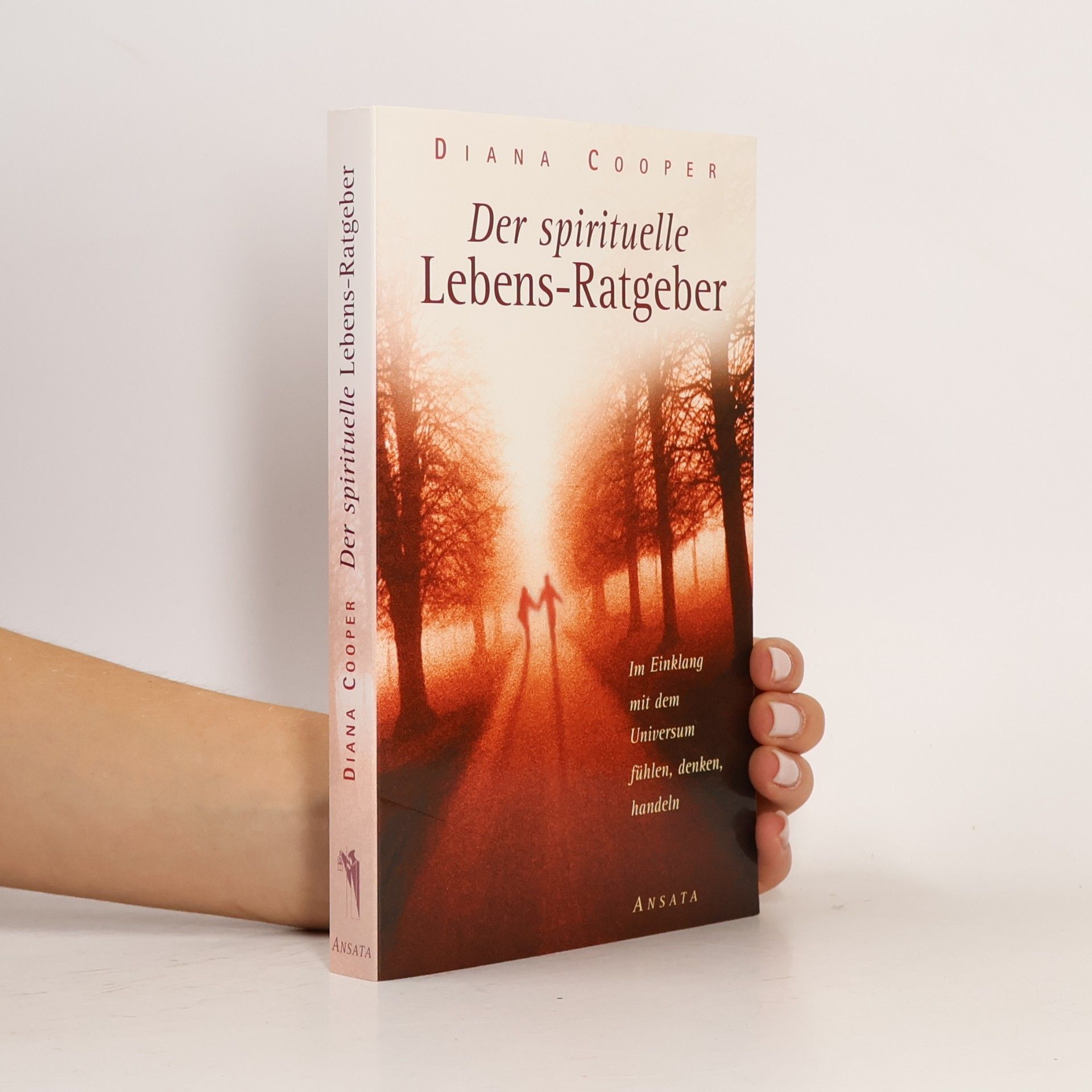 Diana Cooper Der spirituelle Lebens-Ratgeber
