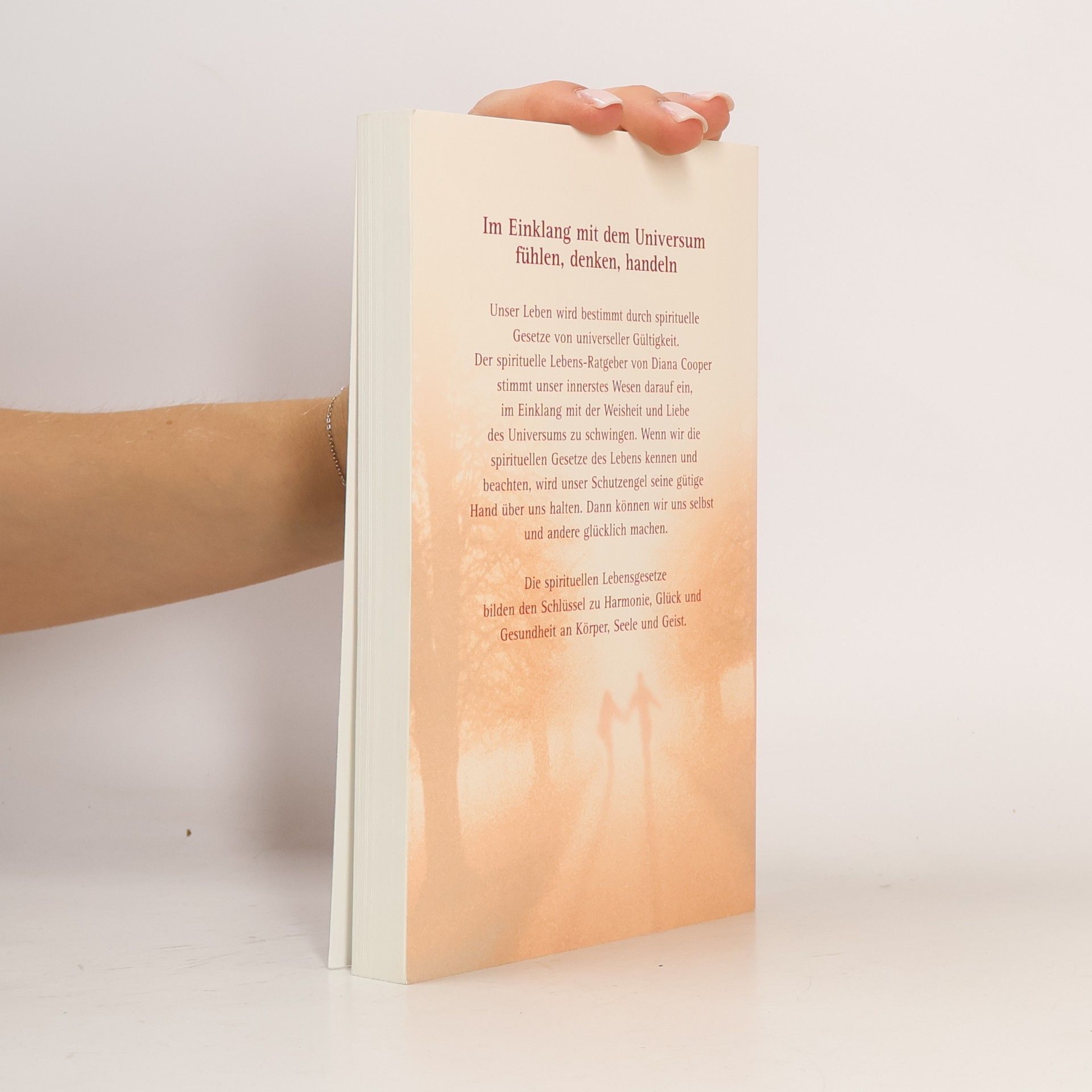 Diana Cooper Der spirituelle Lebens-Ratgeber