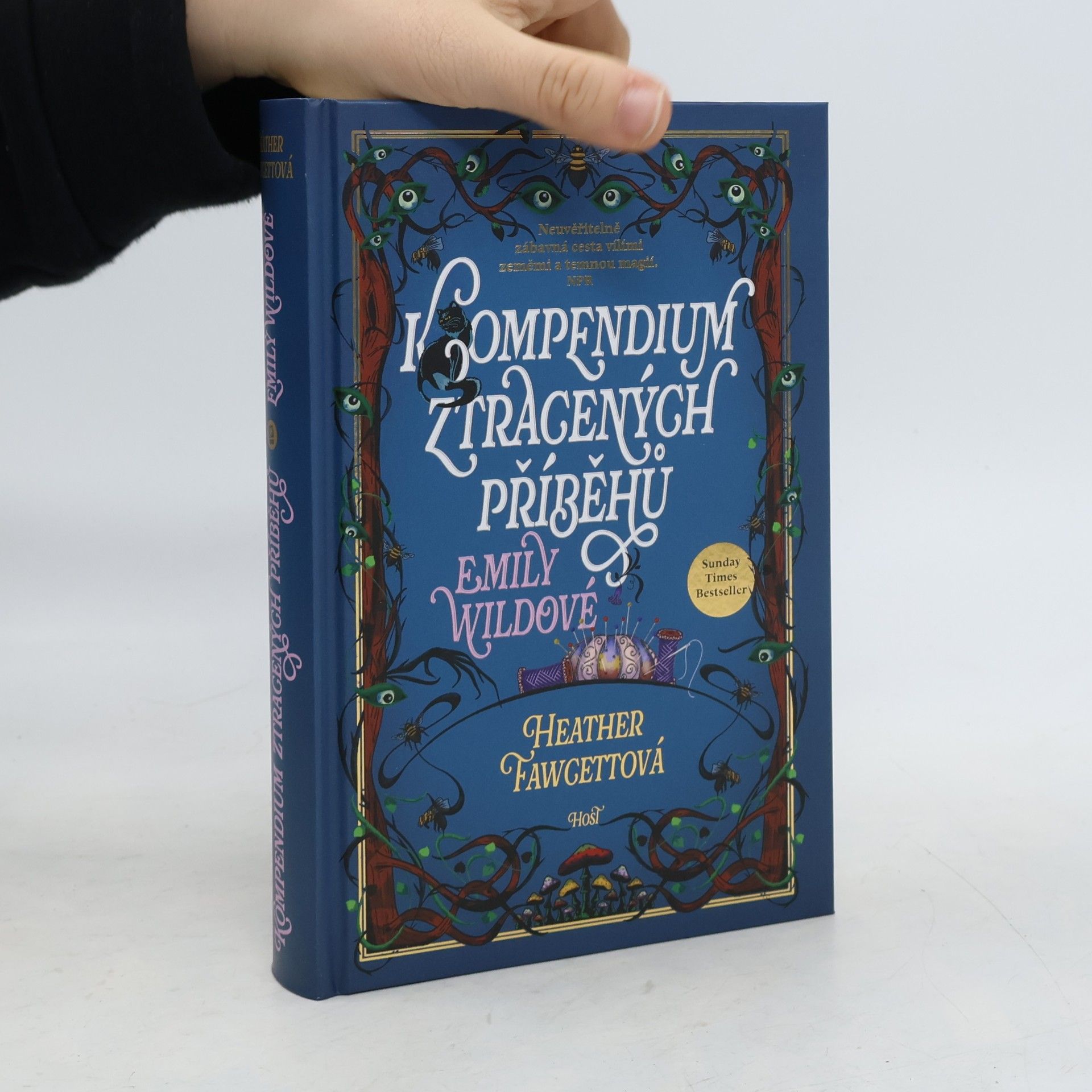 Kompendium ztracených příběhů Emily Wildové