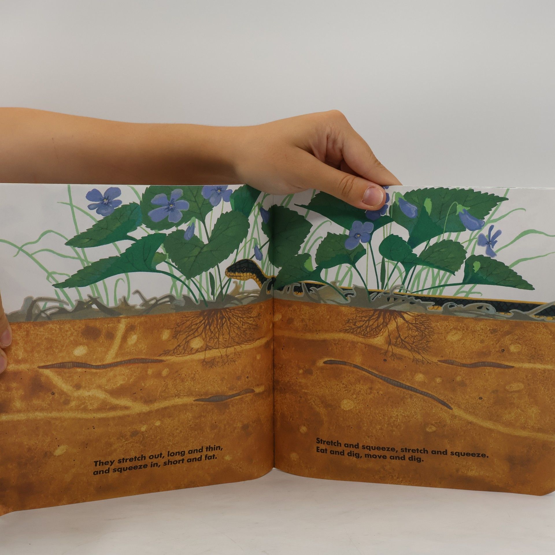 Linda Glaser Wonderful Worms