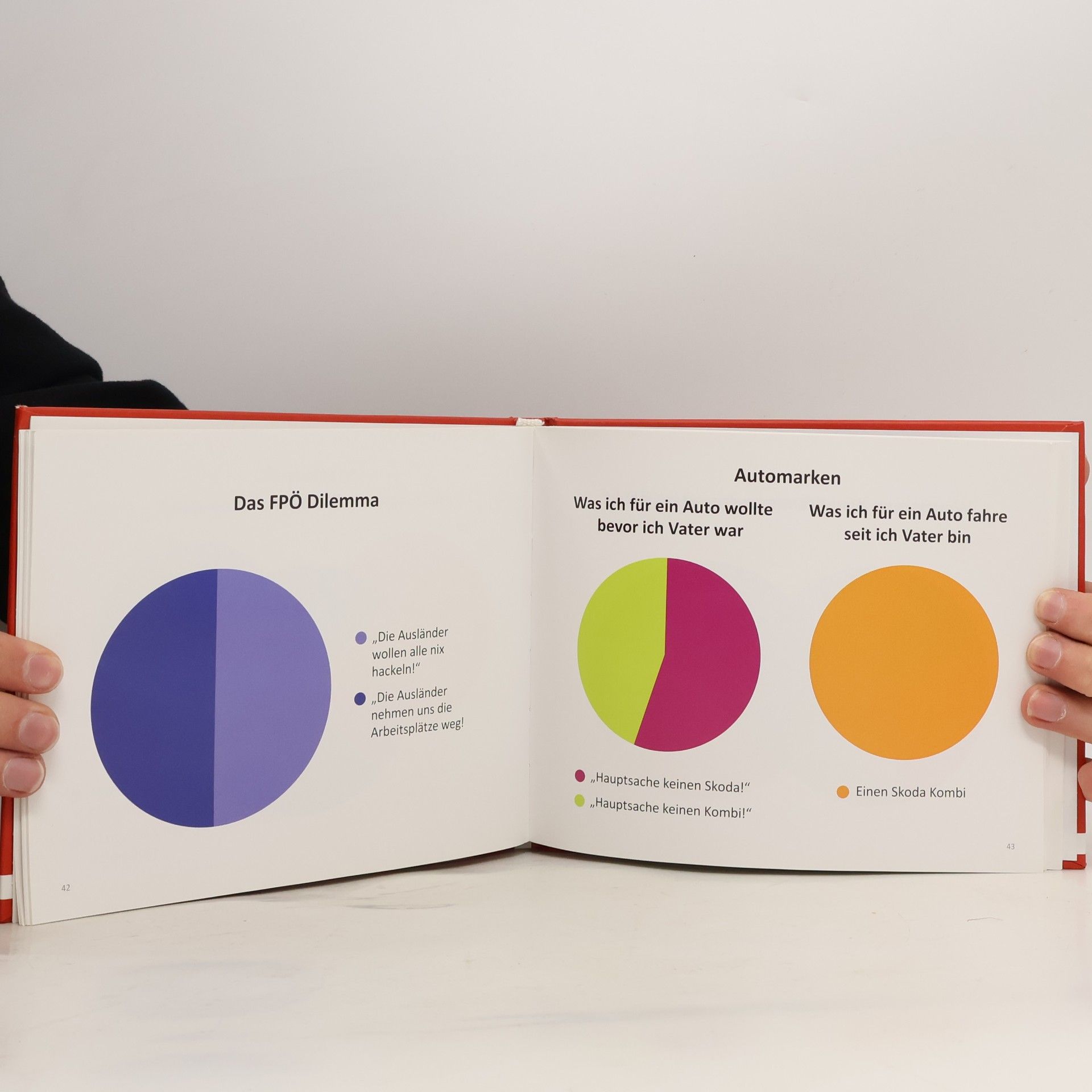 Lena Kothgasser Österreich in leiwanden Grafiken