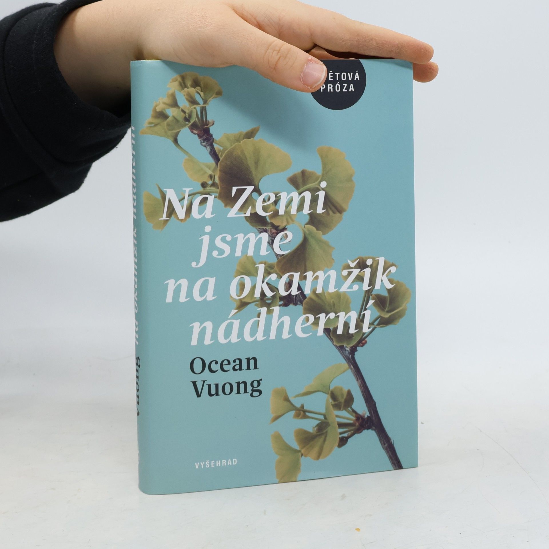 Ocean Vuong Na Zemi jsme na okamžik nádherní
