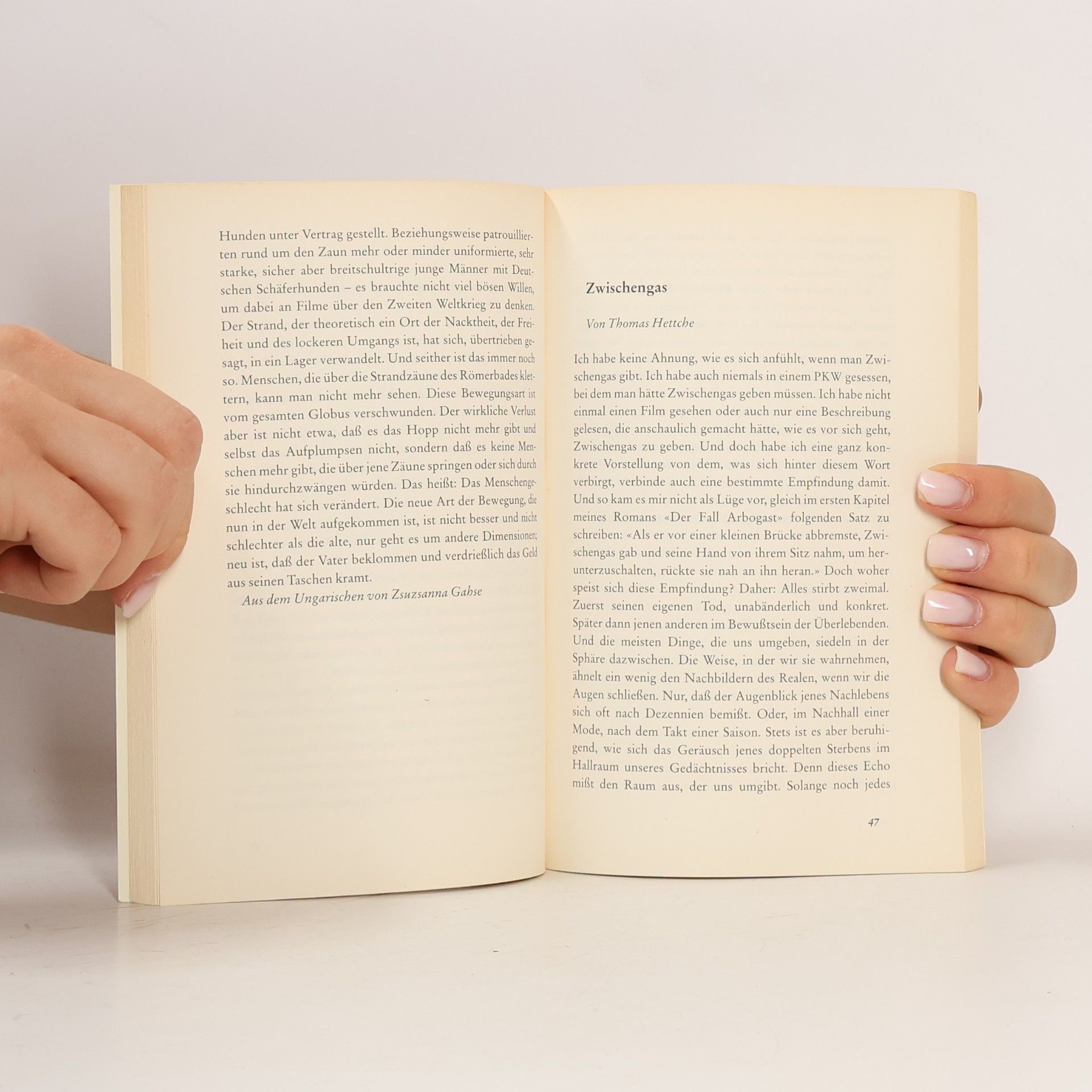 Andrea Kohler Kleines Glossar des Verschwindens