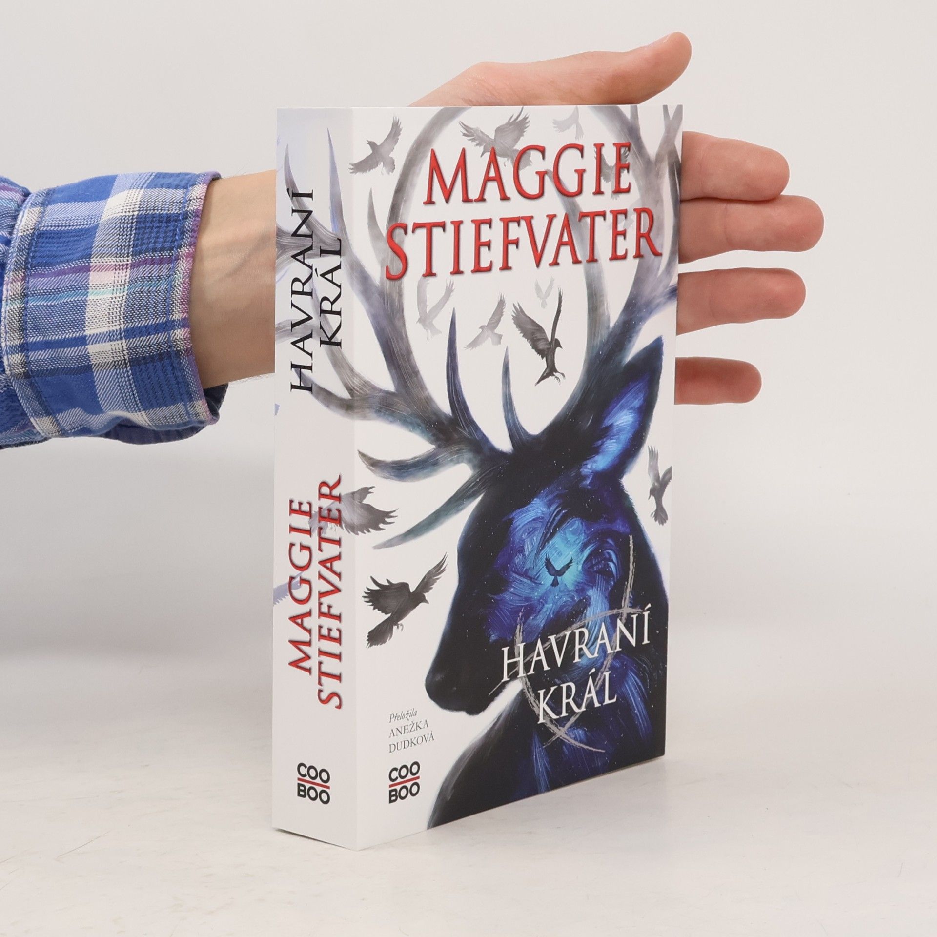 Maggie Stiefvaterová Havraní král
