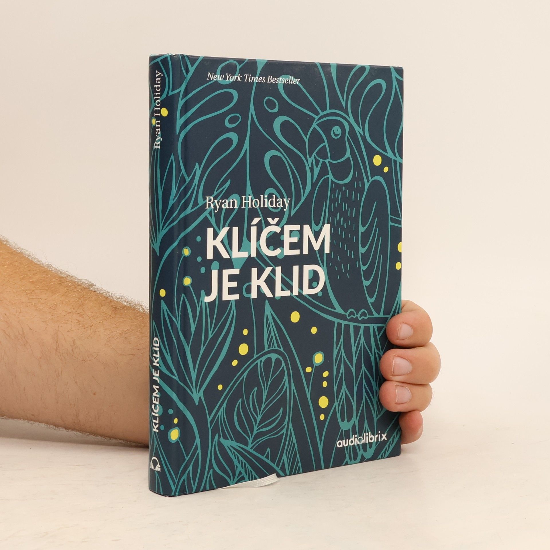 Ryan Holiday Klíčem je klid