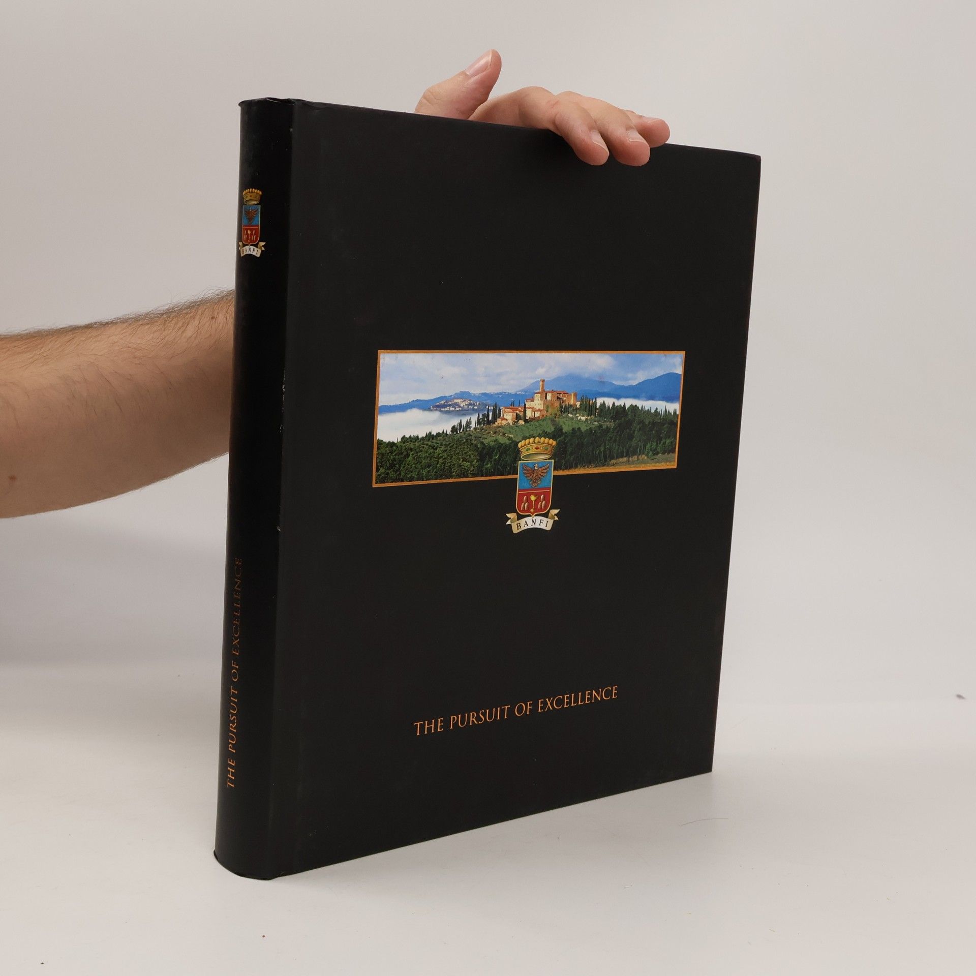 Roberto Anzani The Pursuit of Excellence