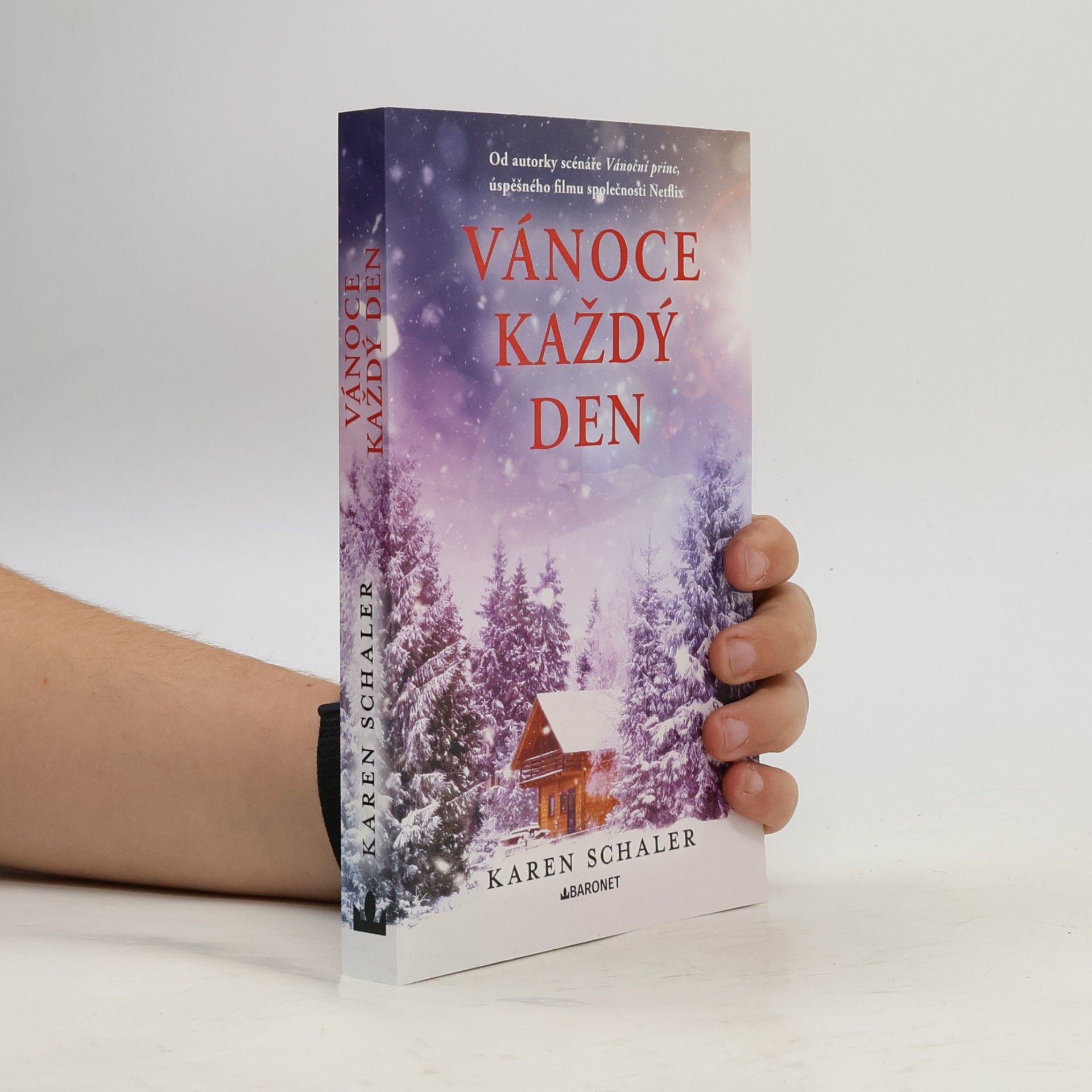 Karen Schaler Vánoce každý den
