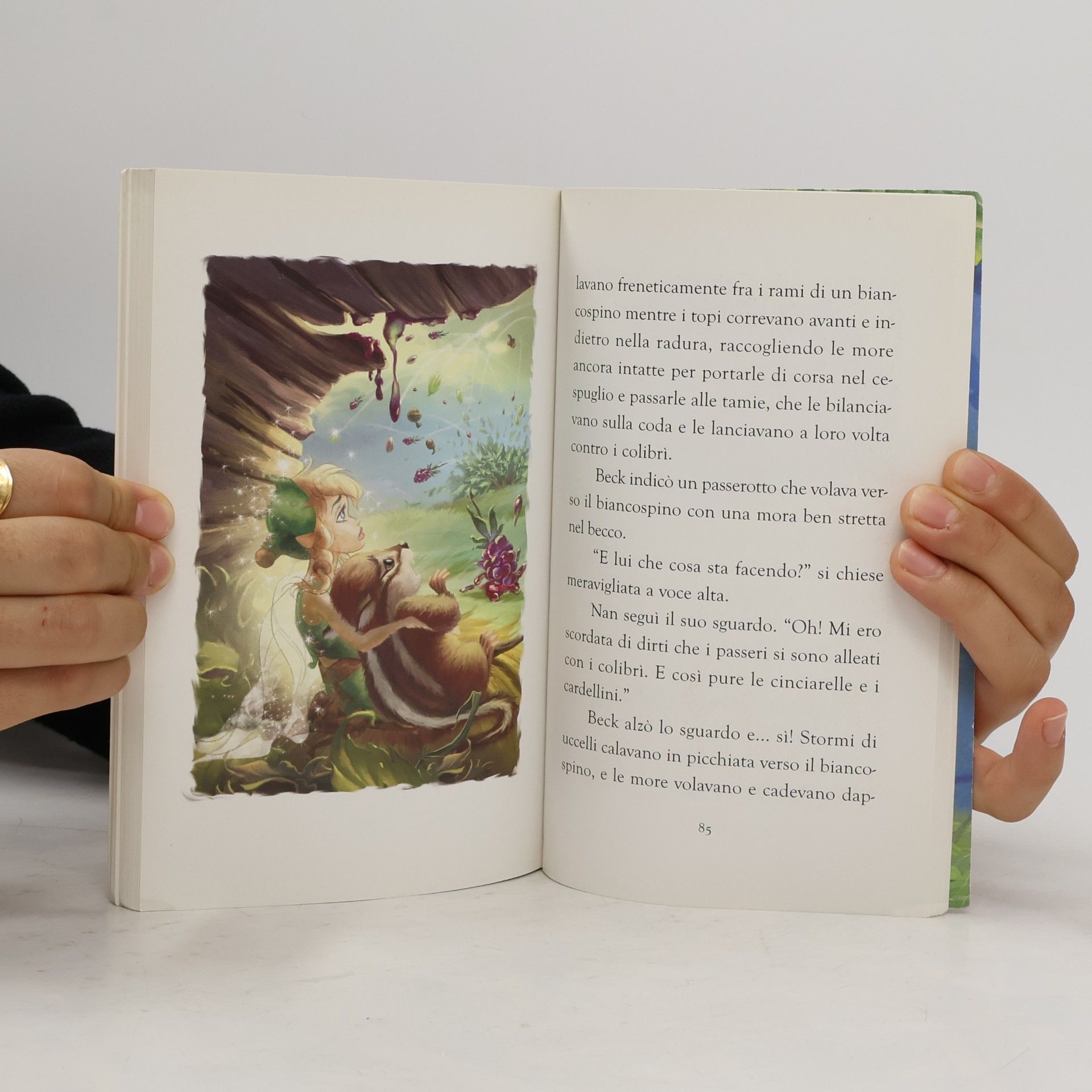 Kiki Thorpe Disney Fairies: Beck e la guerra delle bacche