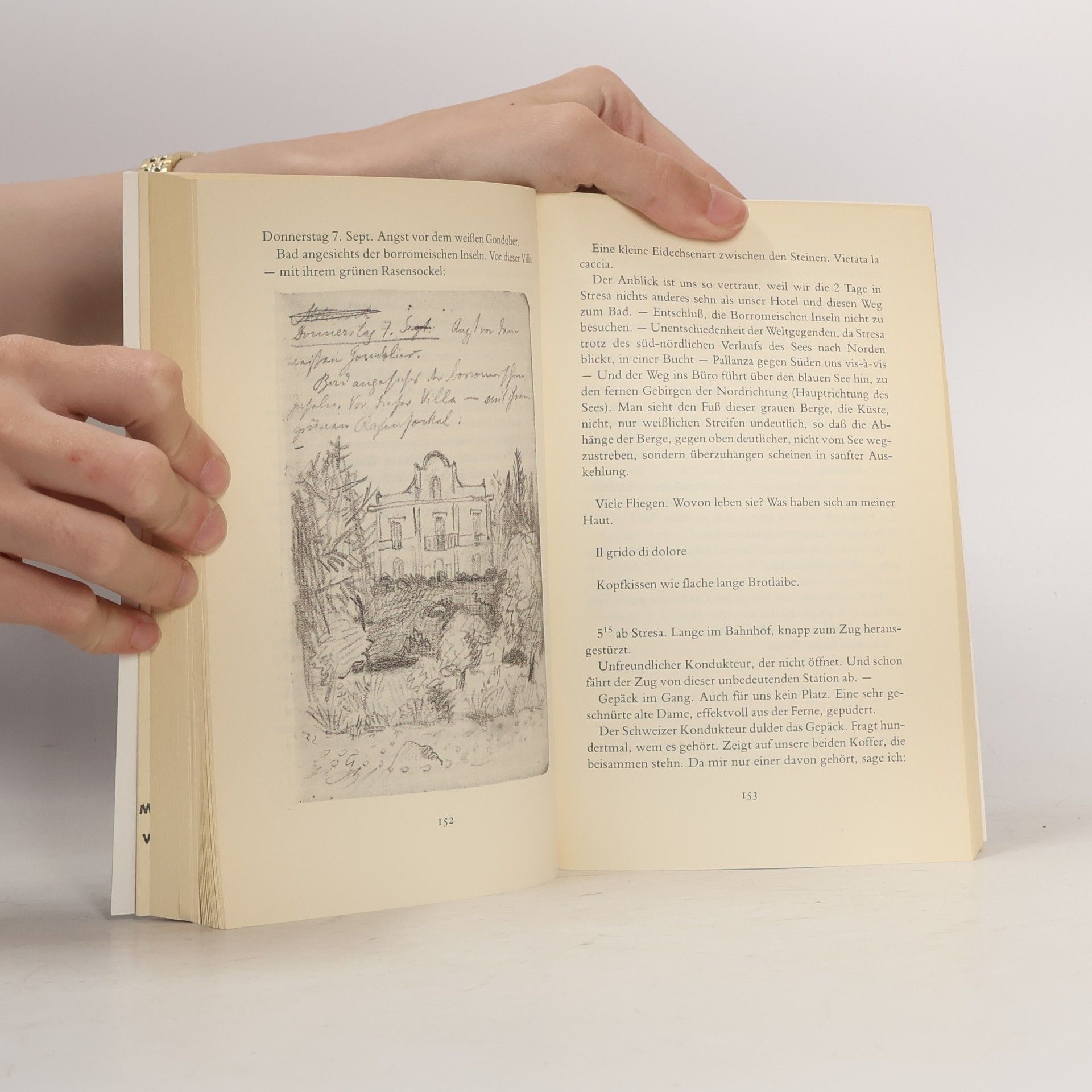 Franz Kafka Reisetagebücher. In der Fassung der Handschrift.