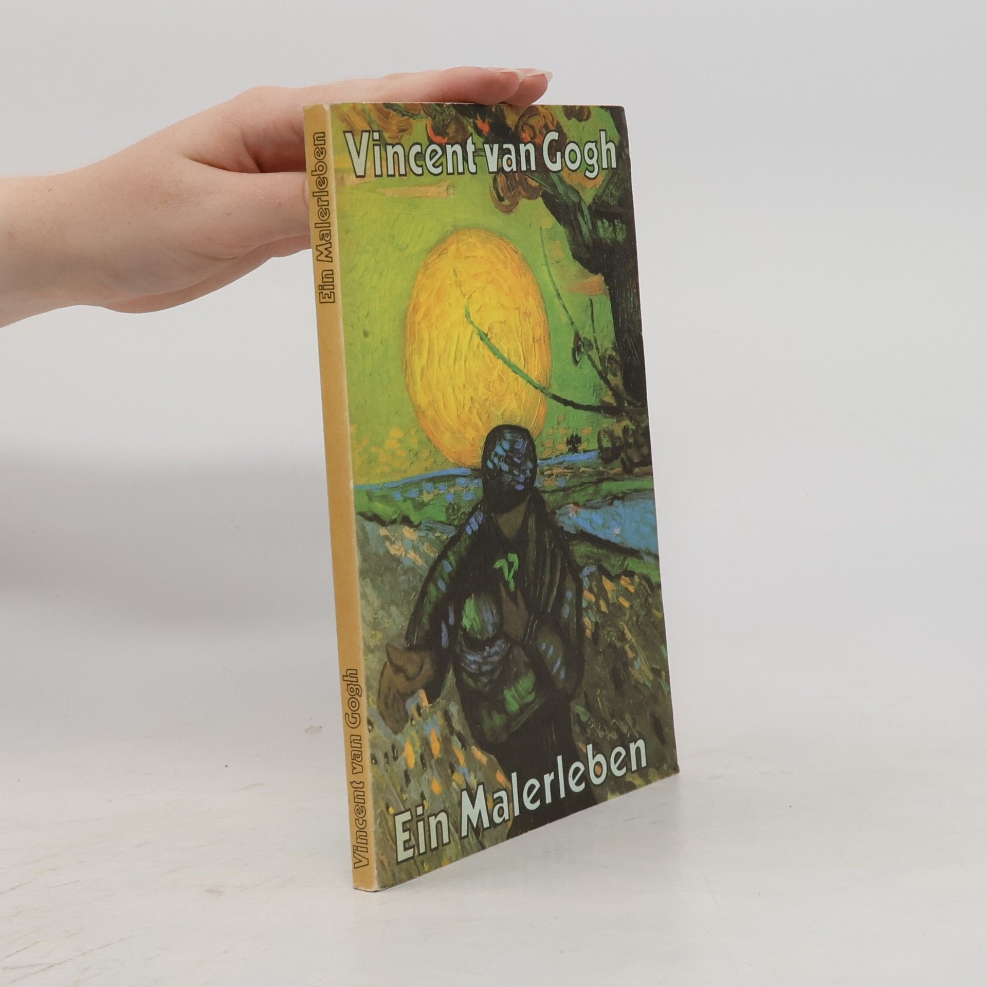 Vincent van Gogh Ein Malerleben