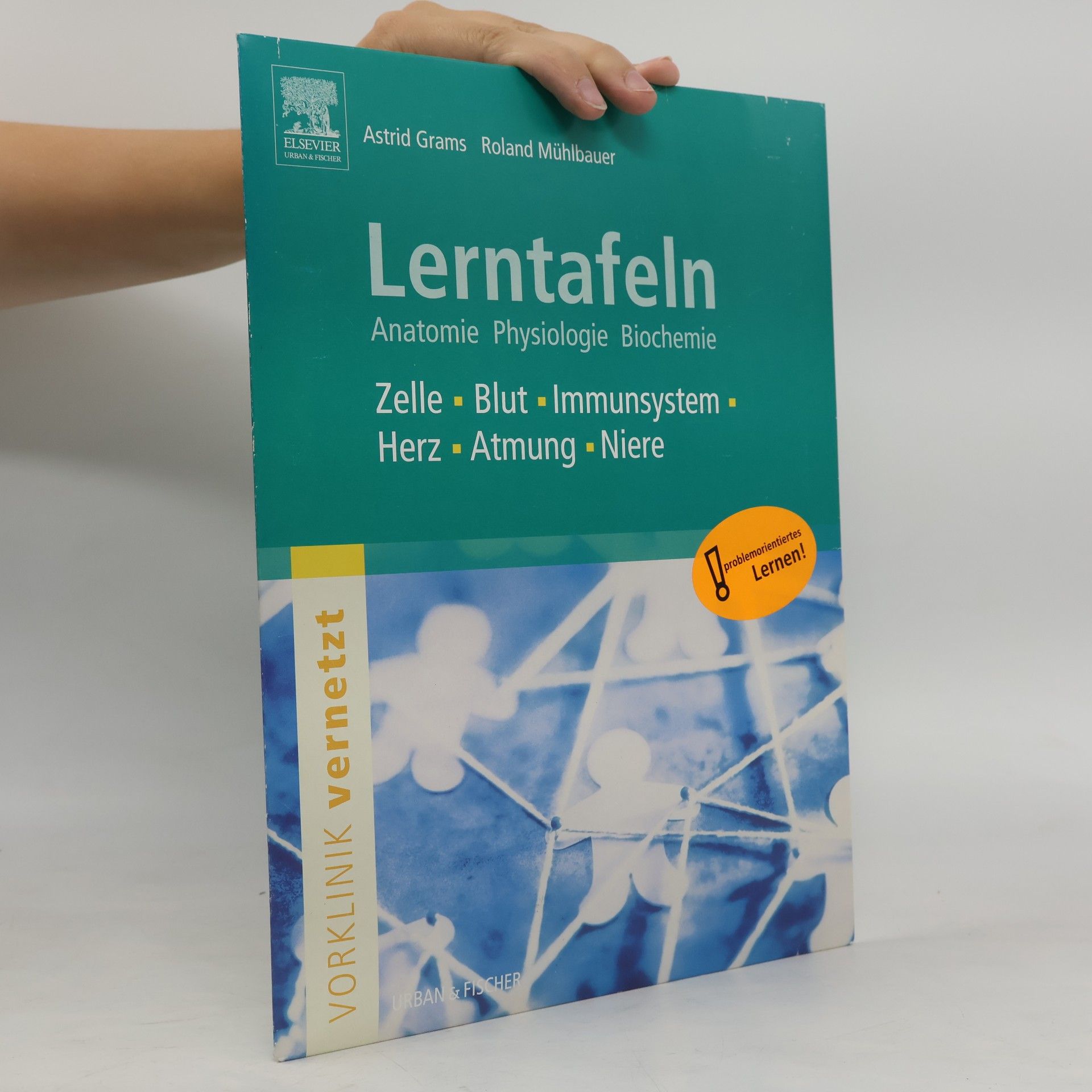 Astrid Grams Lerntafeln Vorklinik vernetzt