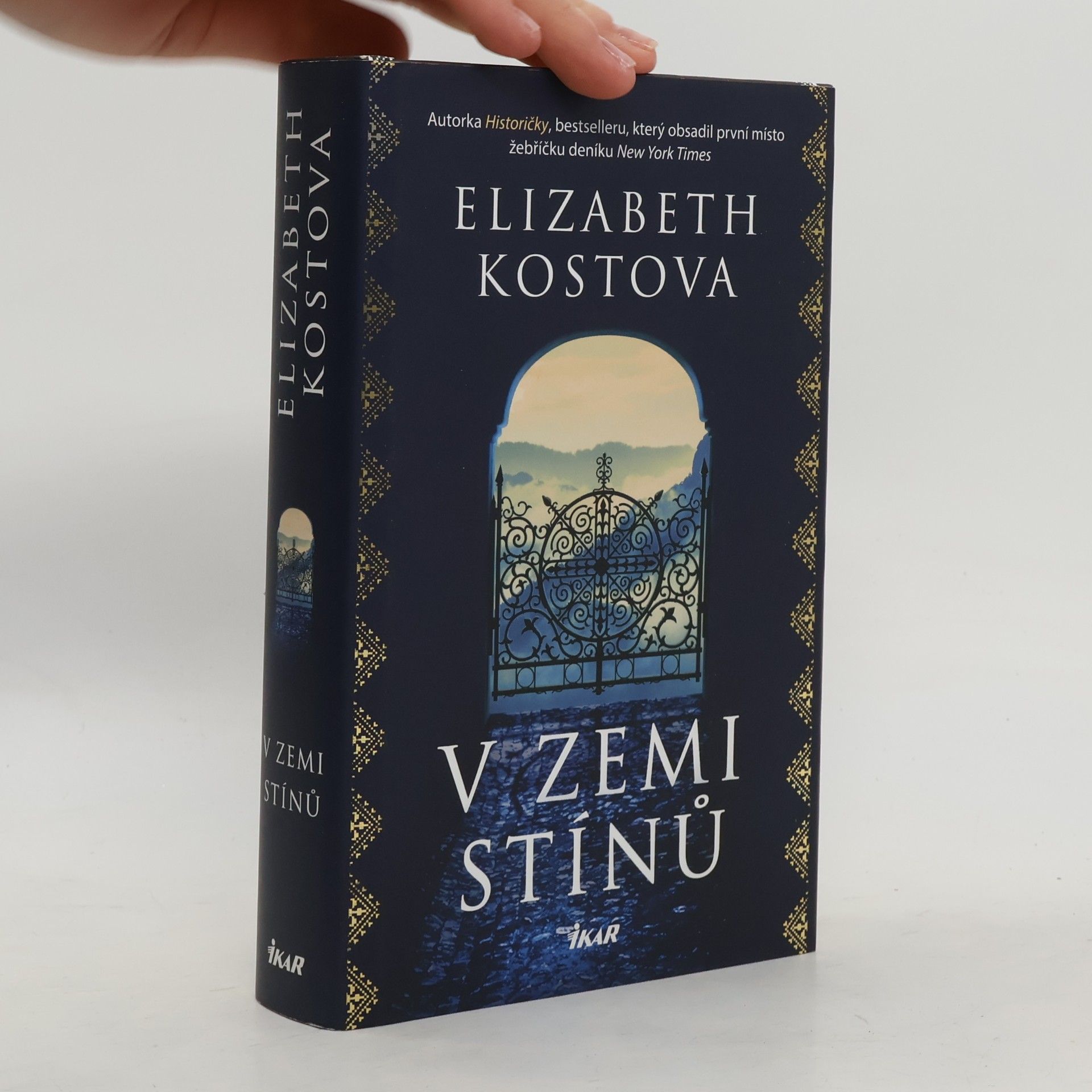 Elizabeth Kostova V zemi stínů