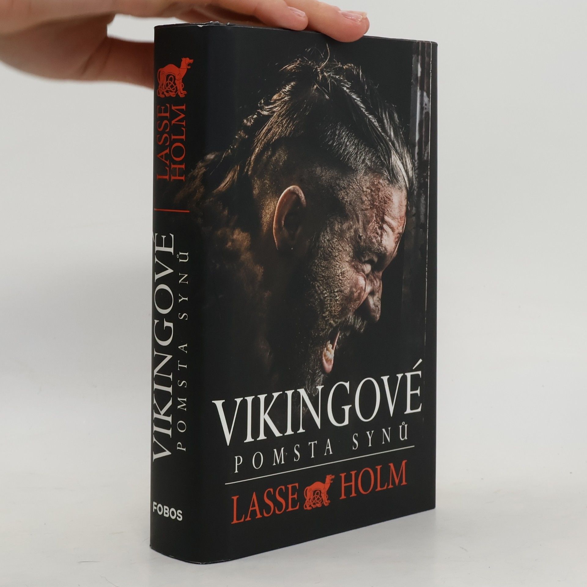 Lasse Holm Vikingové. Pomsta synů