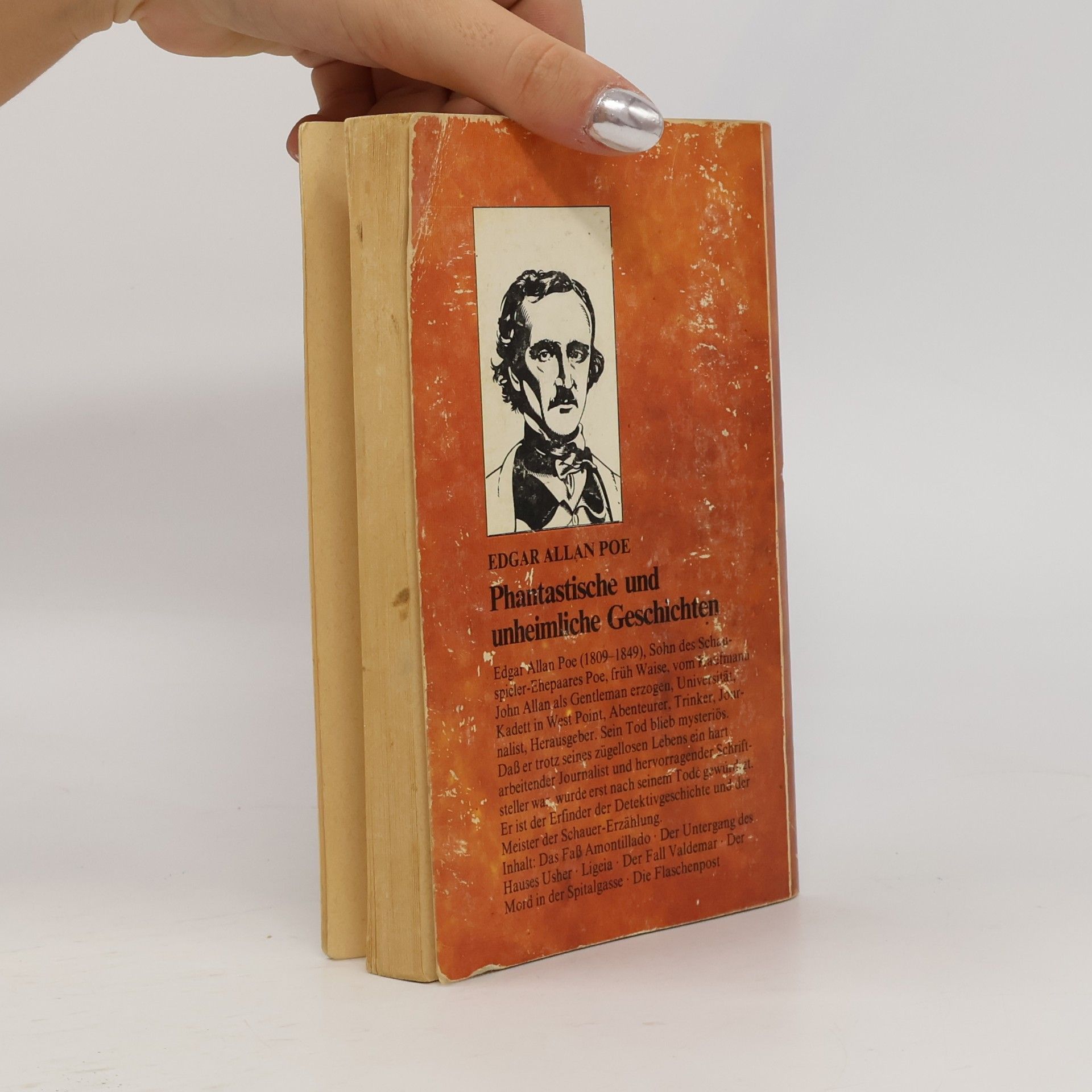 Edgar Allan Poe Phantastische und unheimliche Geschichten