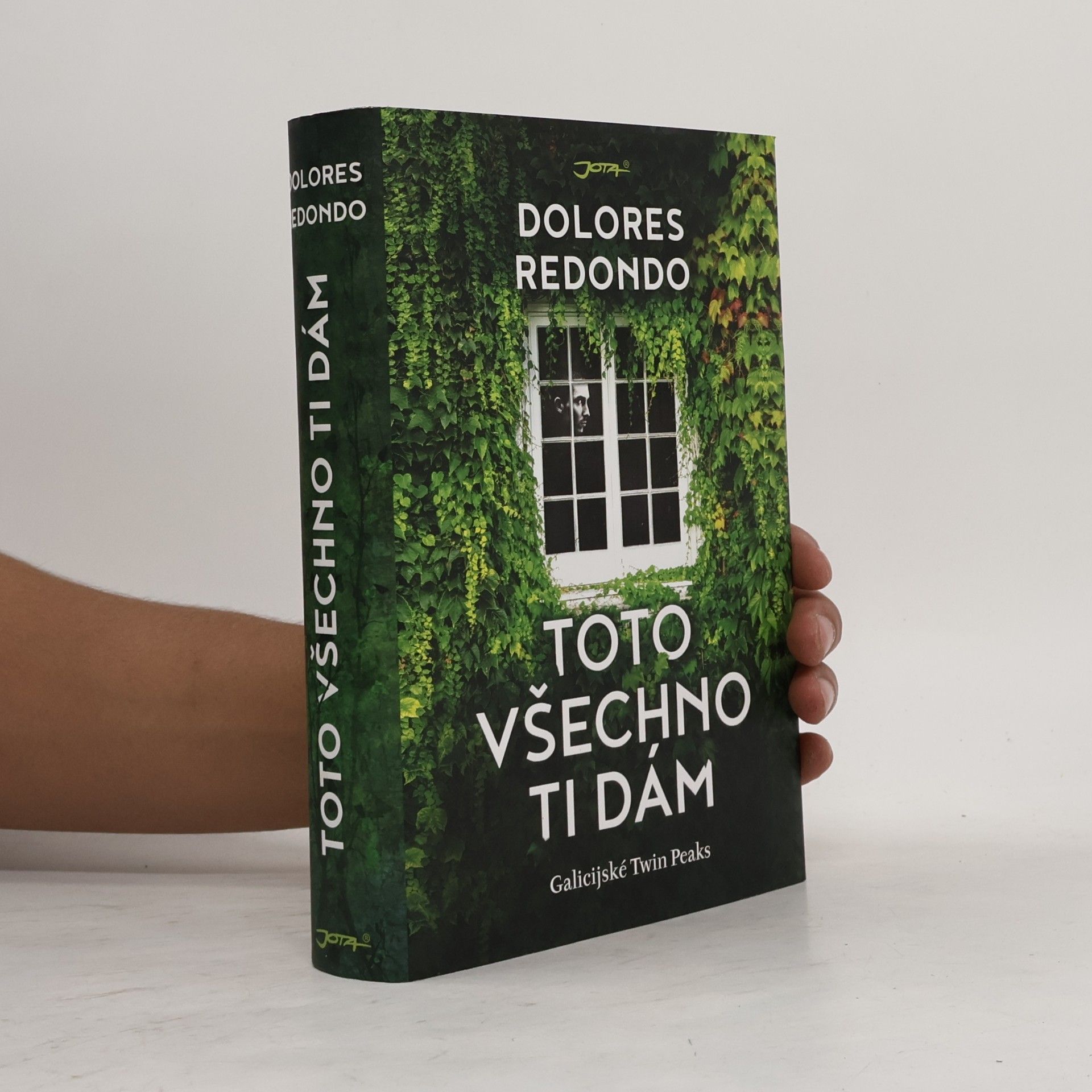 Dolores Redondo Toto všechno ti dám