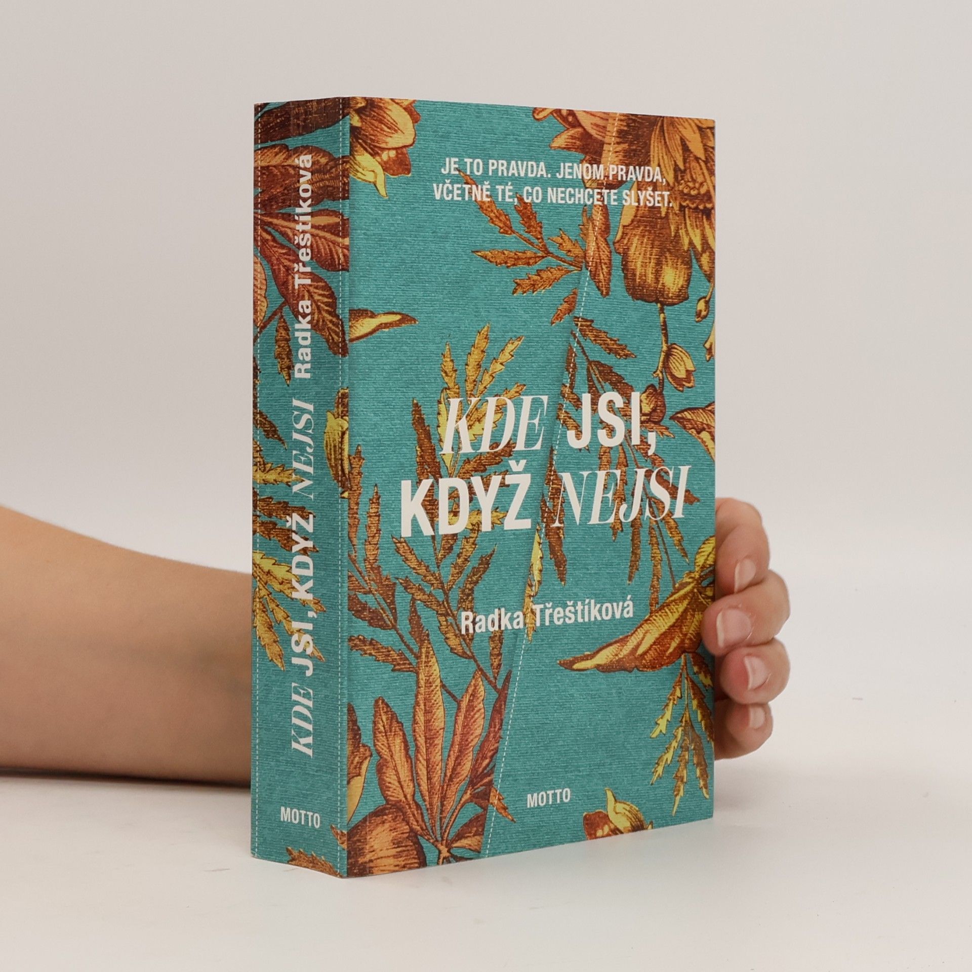 Radka Třeštíková Kde jsi, když nejsi